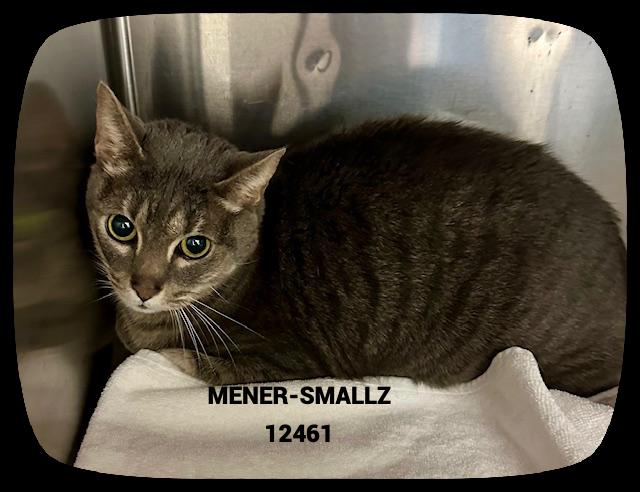 MENER-SMALLZ