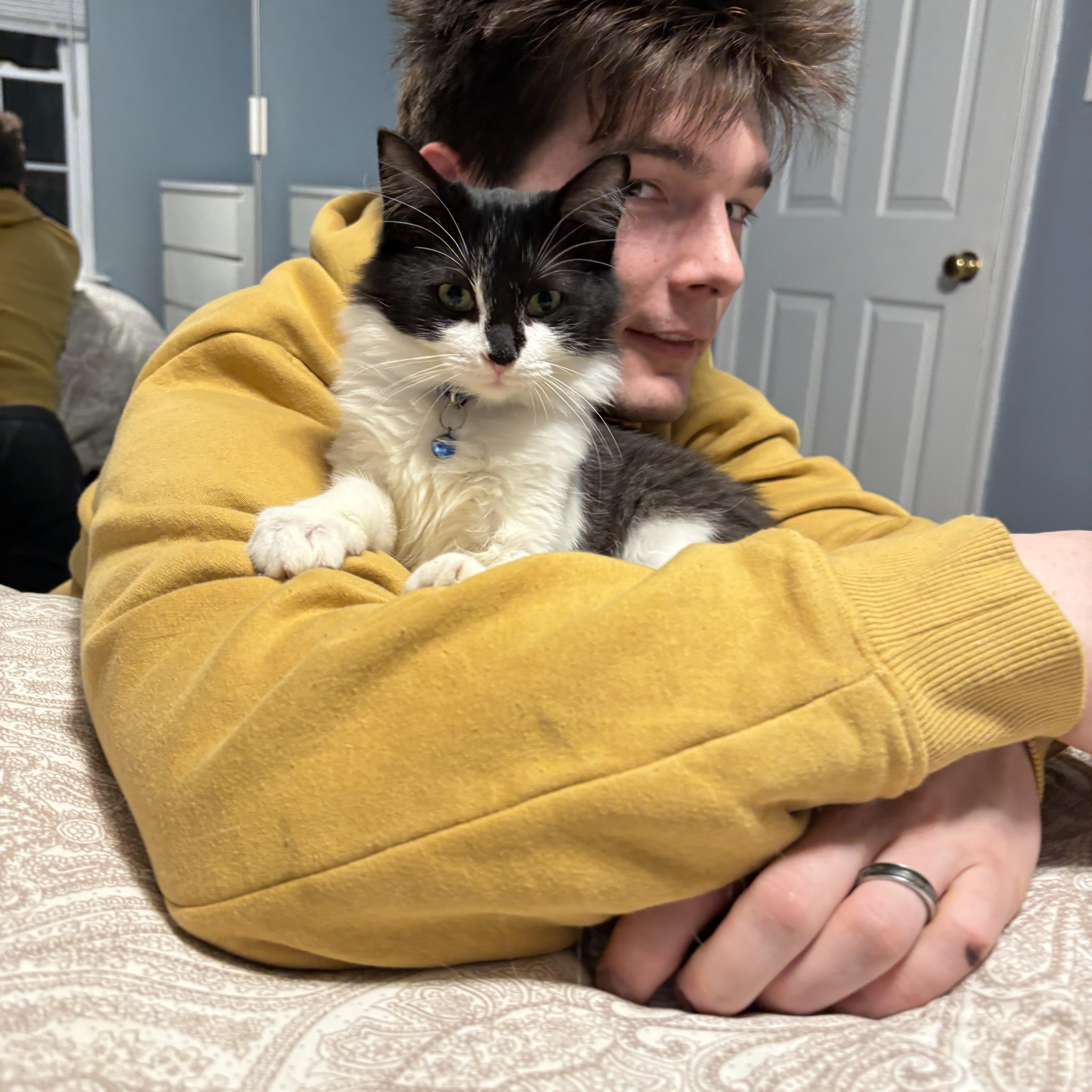 Enlarge Olive , an adoption pending mixed breed in Chesapeake Beach, MD image 2/6