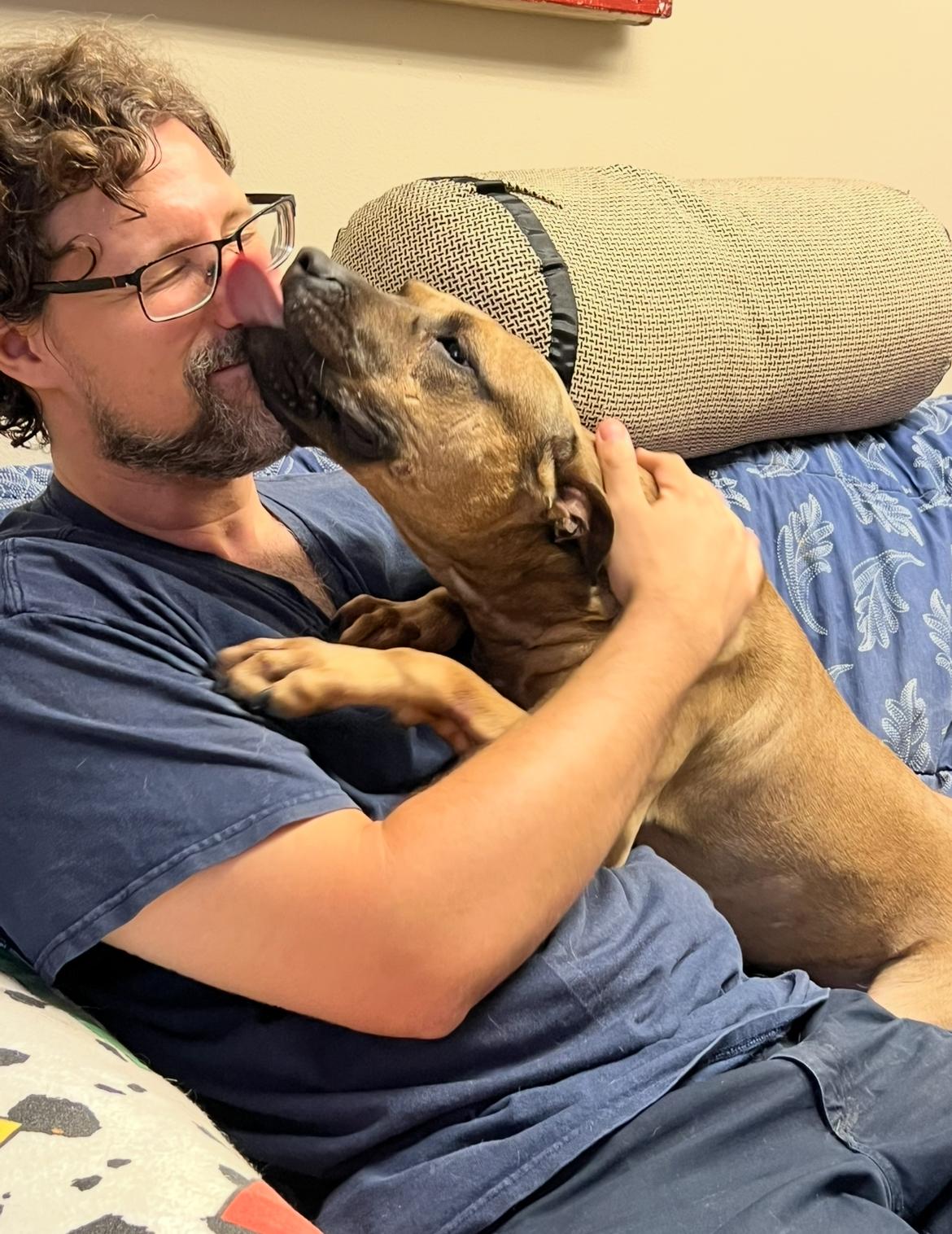 Enlarge Gucci, a Adoptable Pit Bull Terrier in Port Washington, NY image 2/5