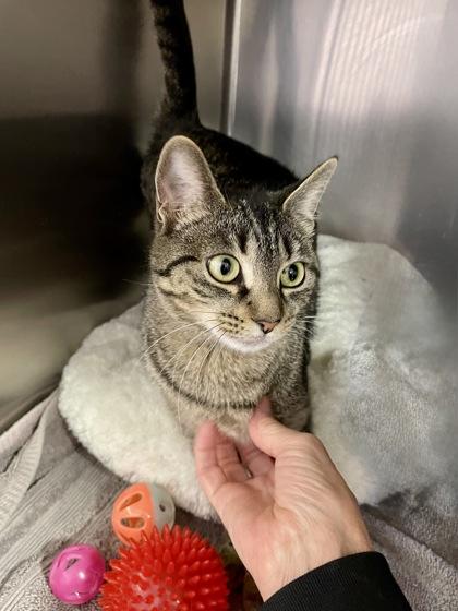 Lucy — thumbnail 3