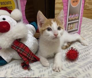 Charley Aka Wobbles thumbnail 2