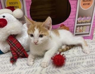 Charley Aka Wobbles thumbnail 3