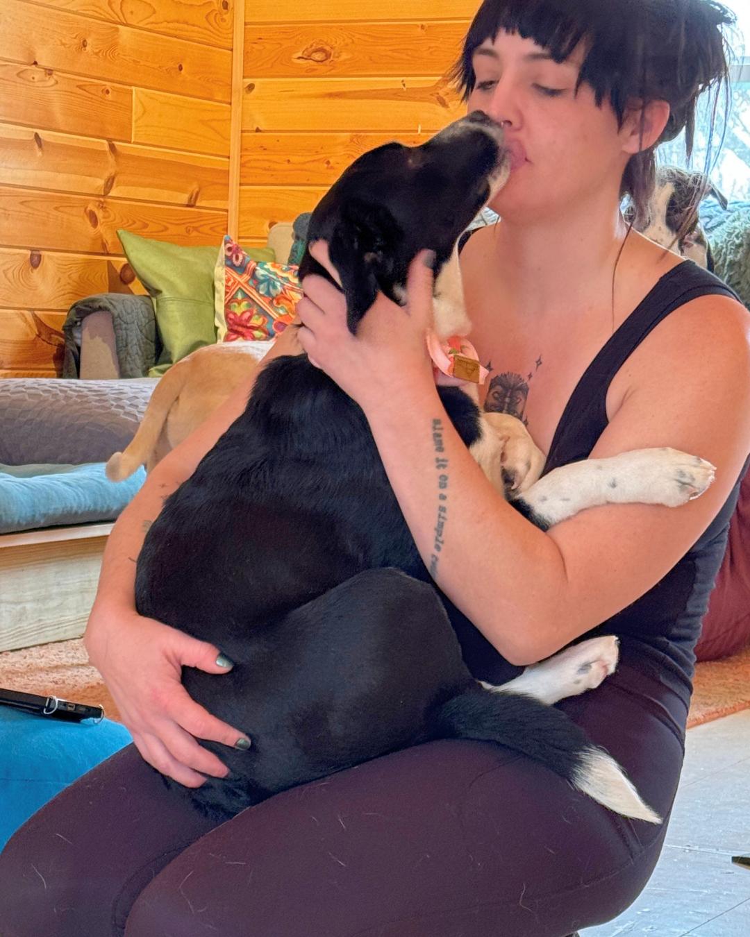 Enlarge Jalapeno, a ADOPTABLE mixed breed in Shell Lake, WI image 2/6