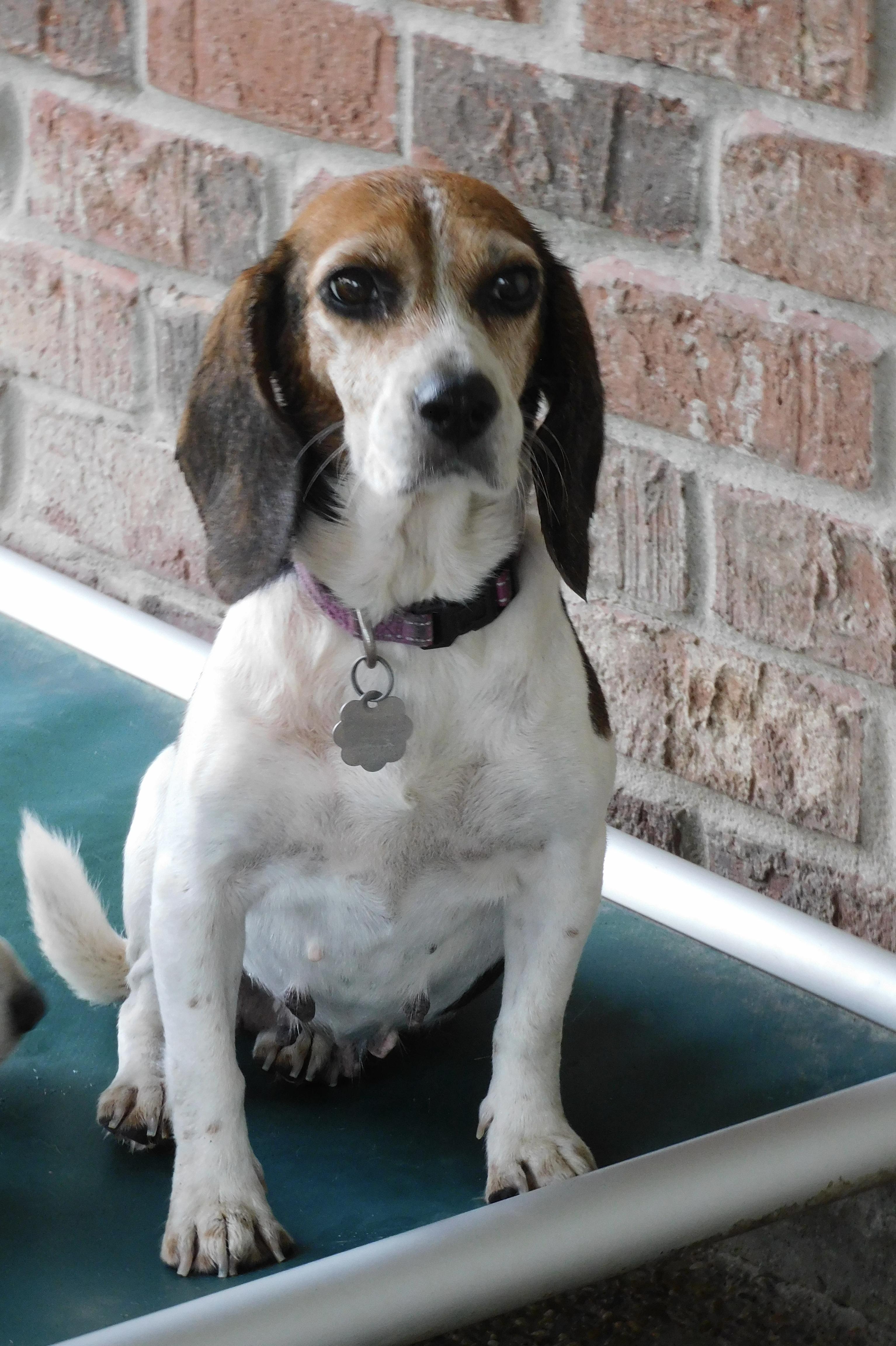Bailey