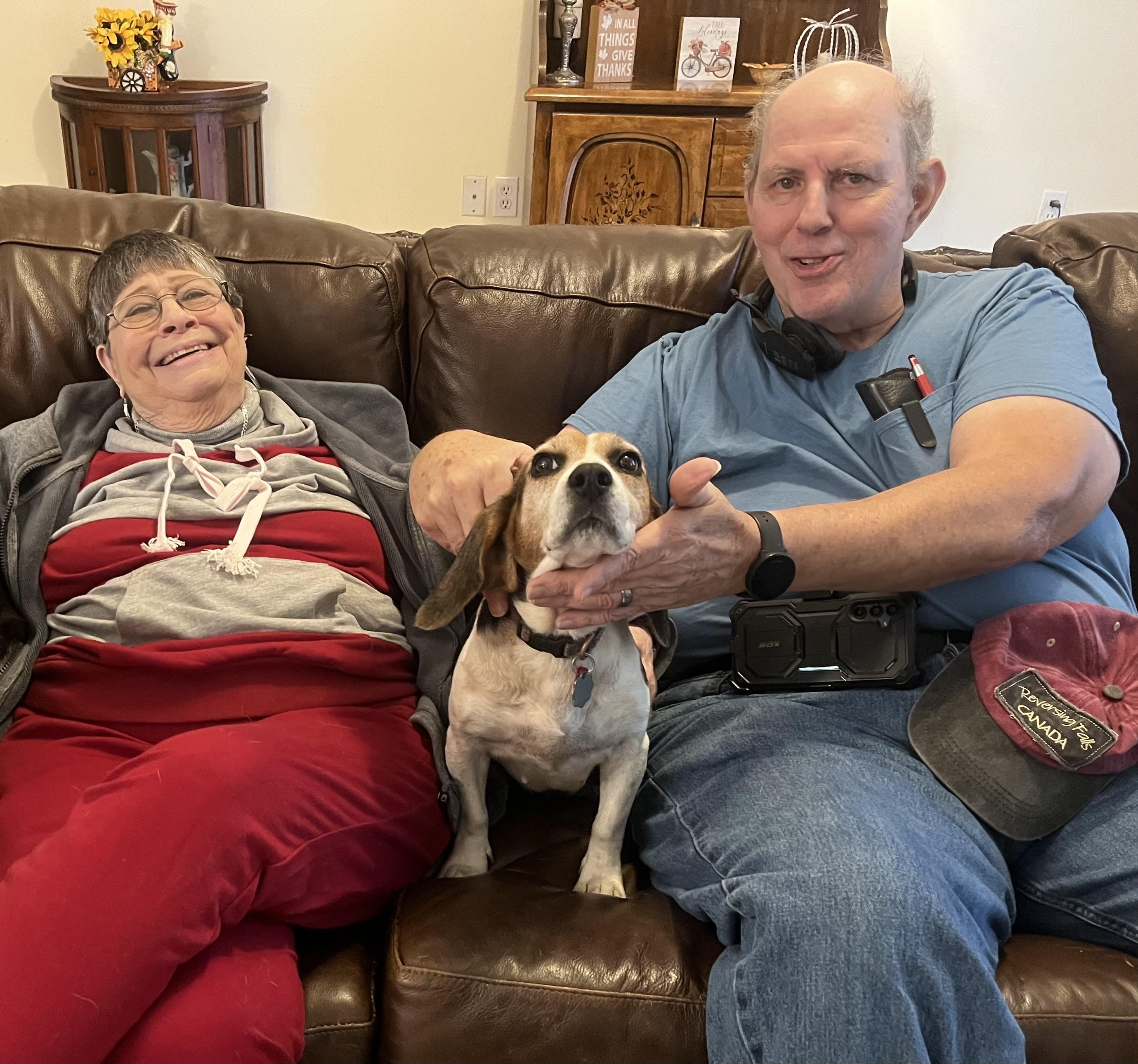 Enlarge Bailey, a Adopted Beagle in Prairieville, LA image 1/6