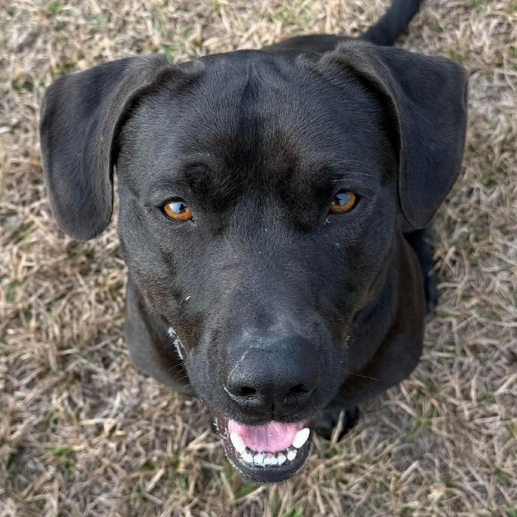 Yung Gravy thumbnail 2