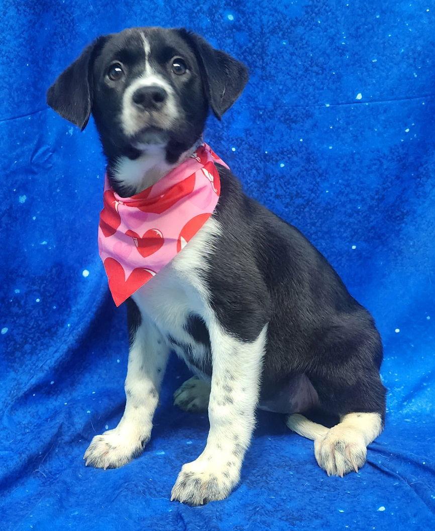 260304 Beamer — thumbnail 2