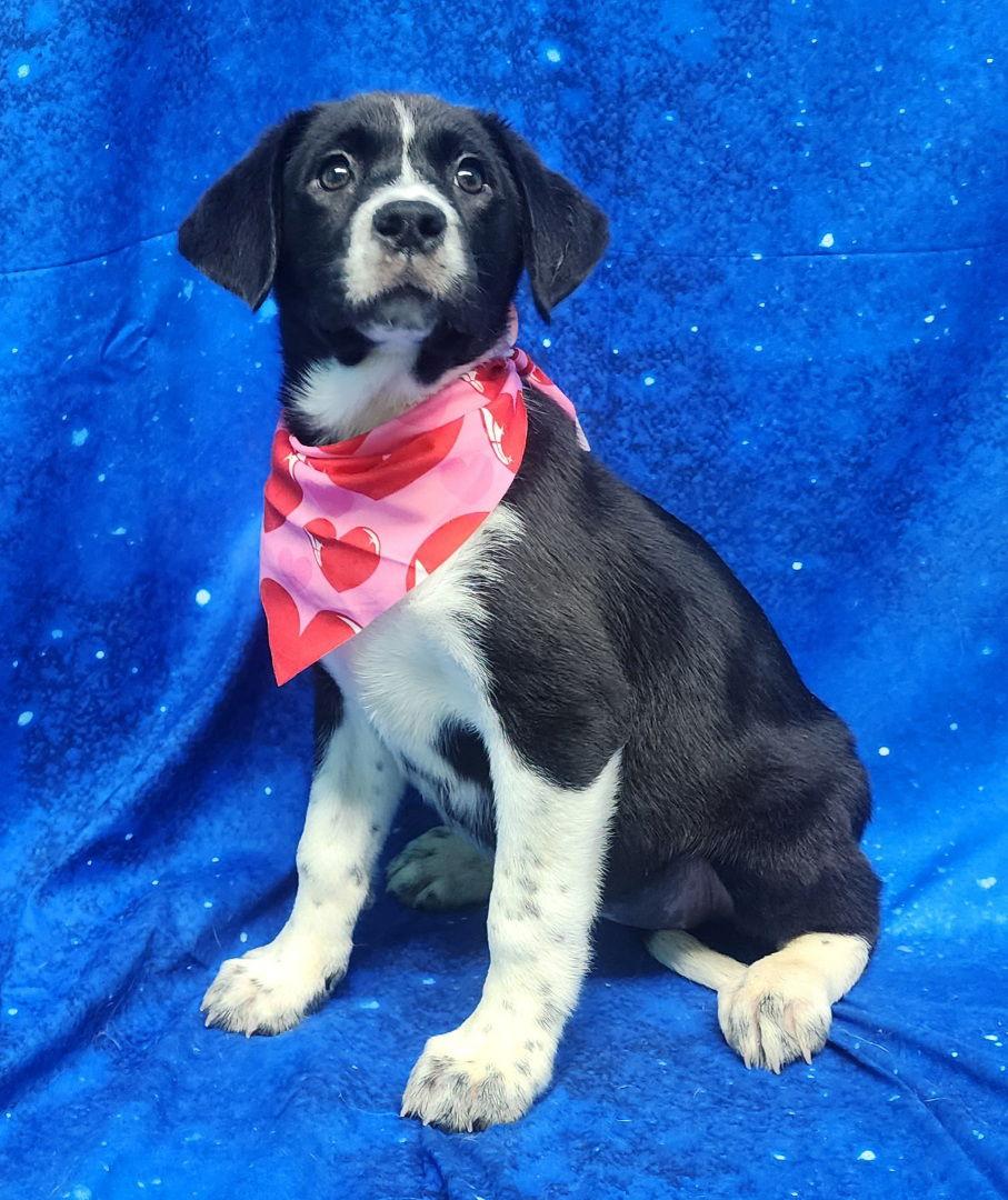 260304 Beamer — thumbnail 3