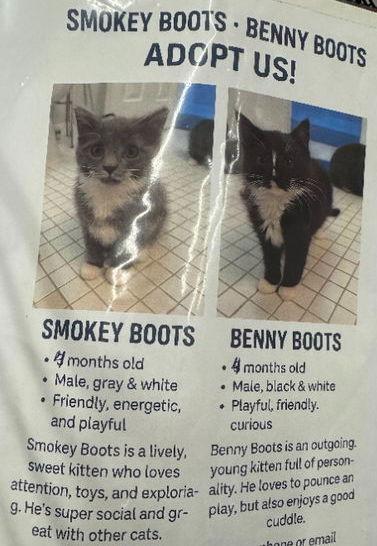 Benny Boots & Smokey