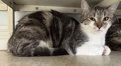 Maybelline — thumbnail 2