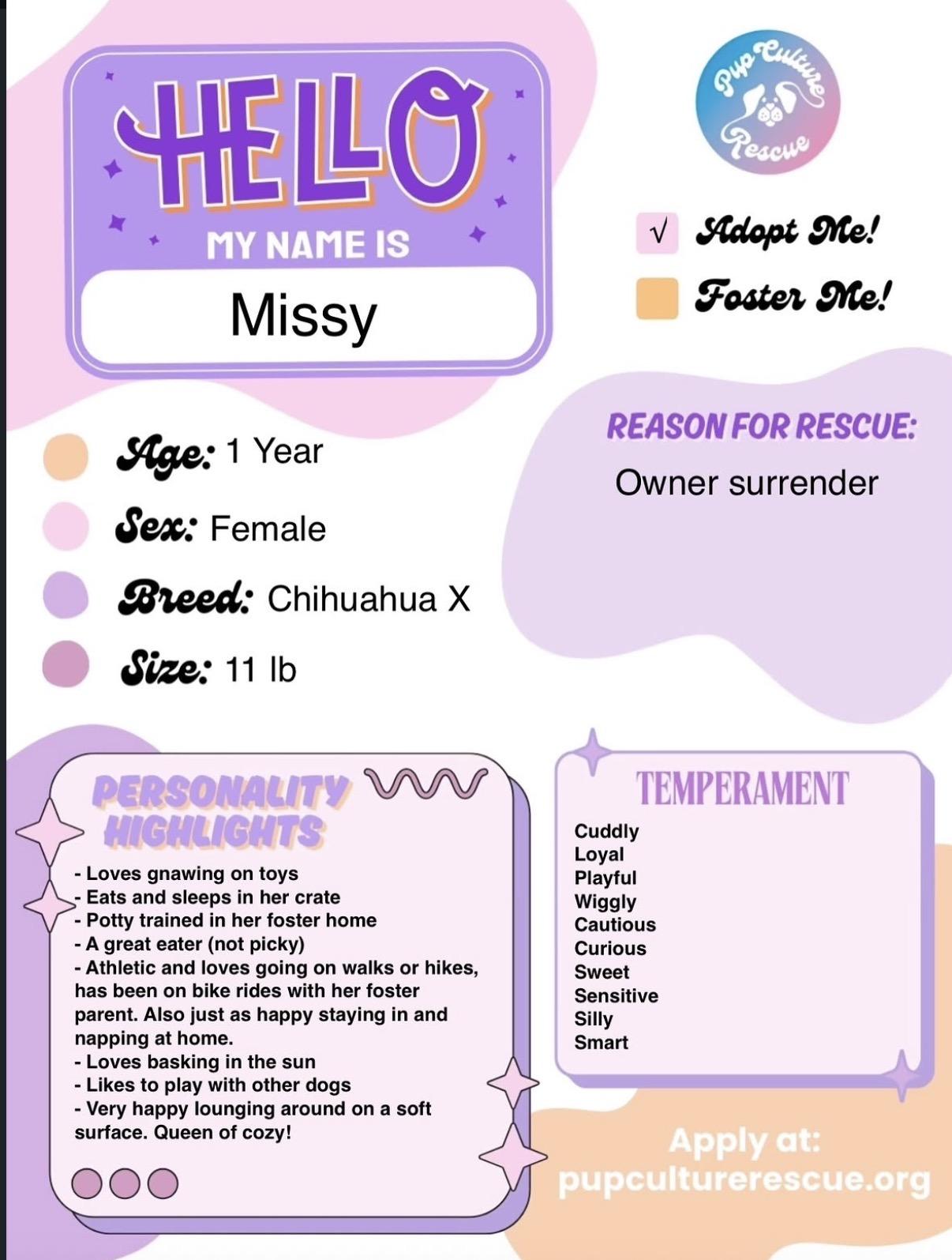Missy, a Adoptable mixed breed in Pasadena, CA image 2/5
