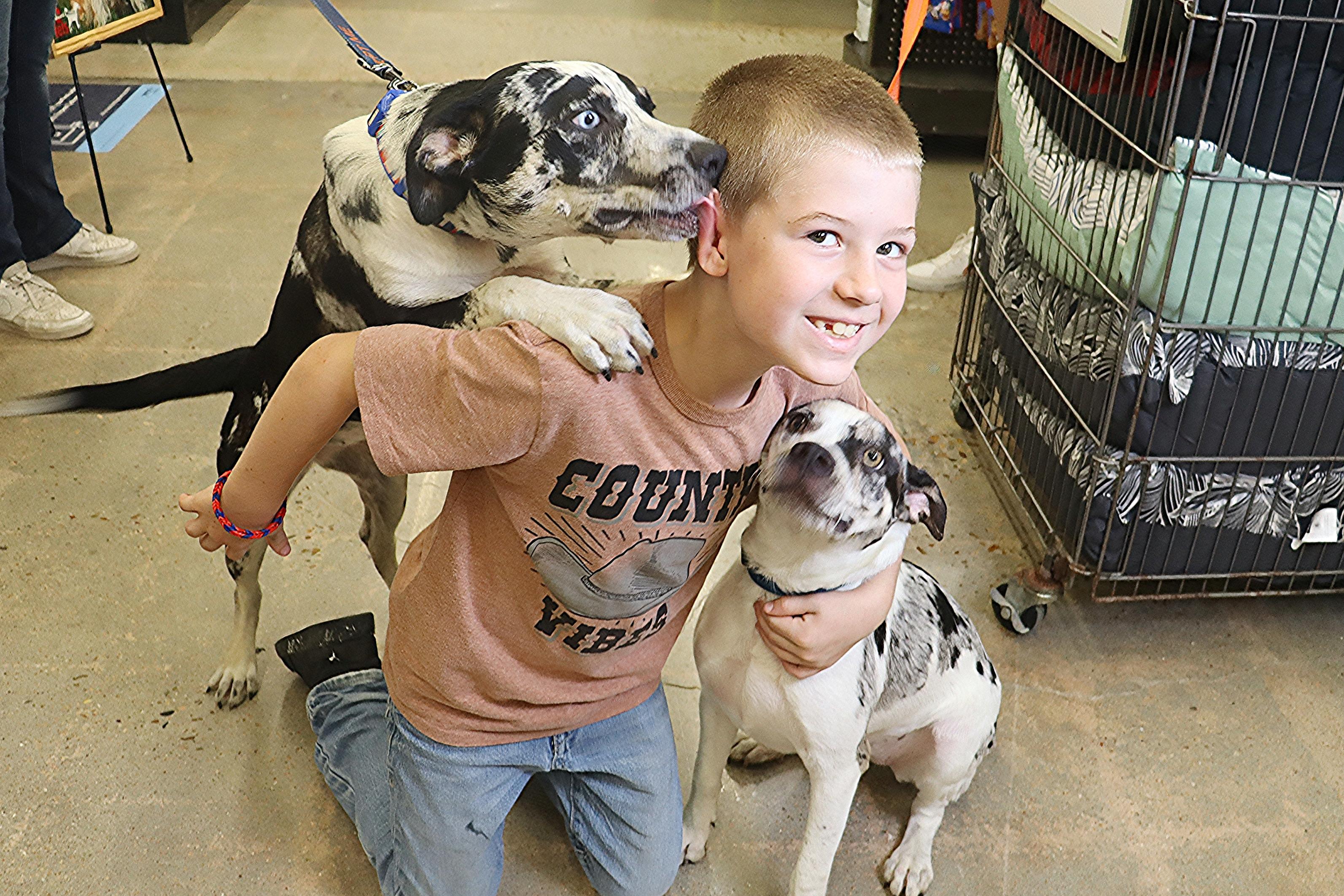 Oakley - Olive green/golden eyed Beauty