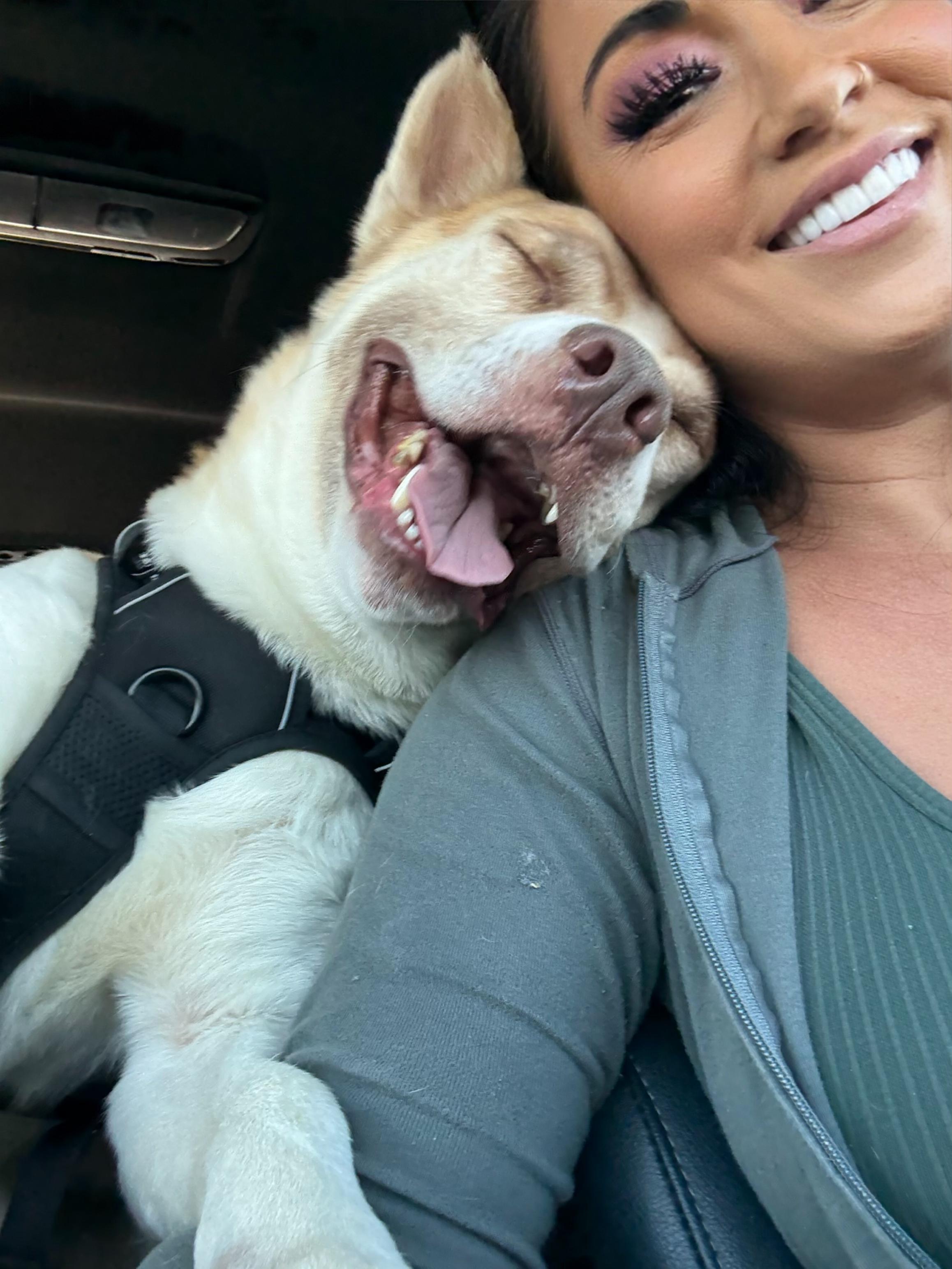 Ricky, a Adopted mixed breed in Sierra Madre, CA image 1/5