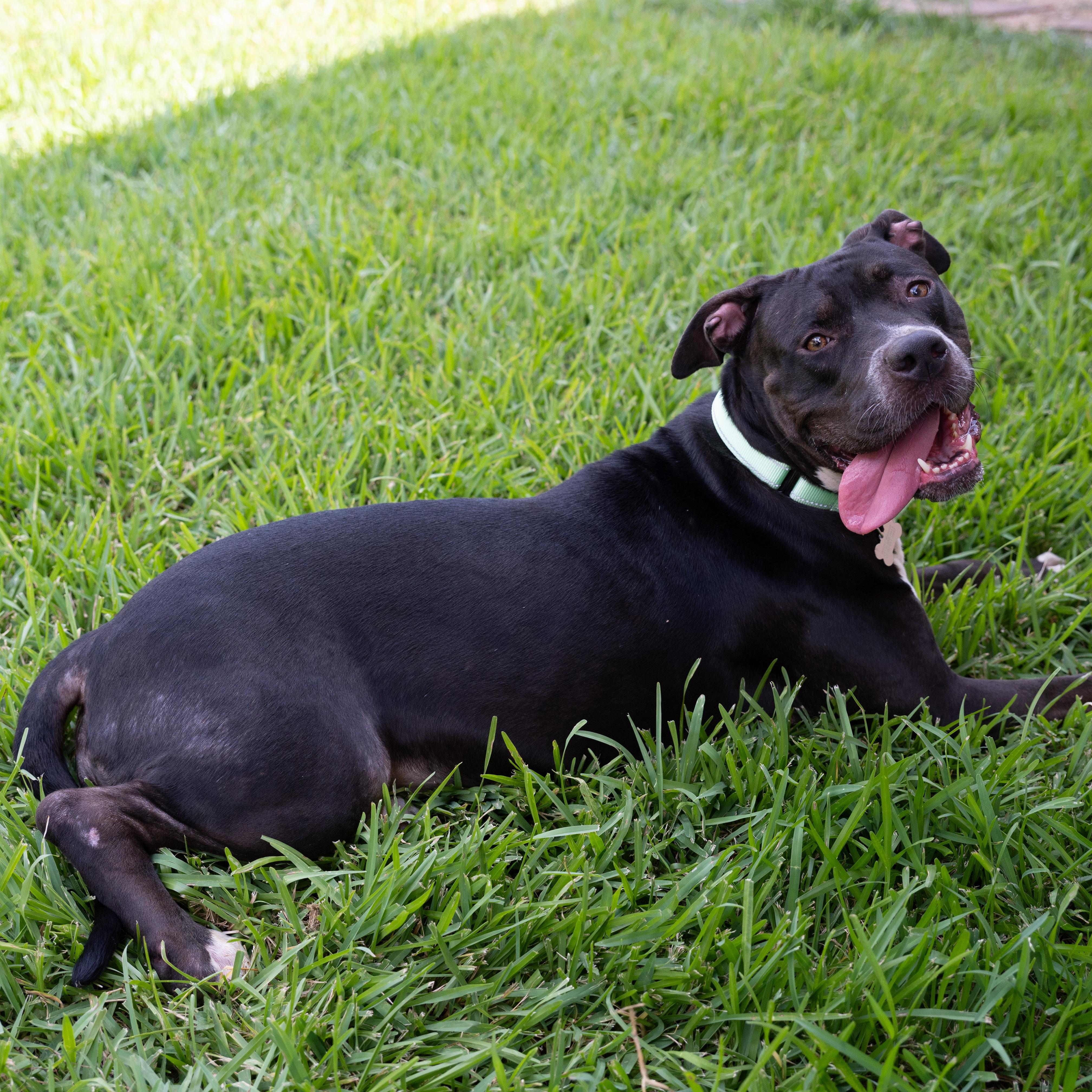 Tina — thumbnail 5