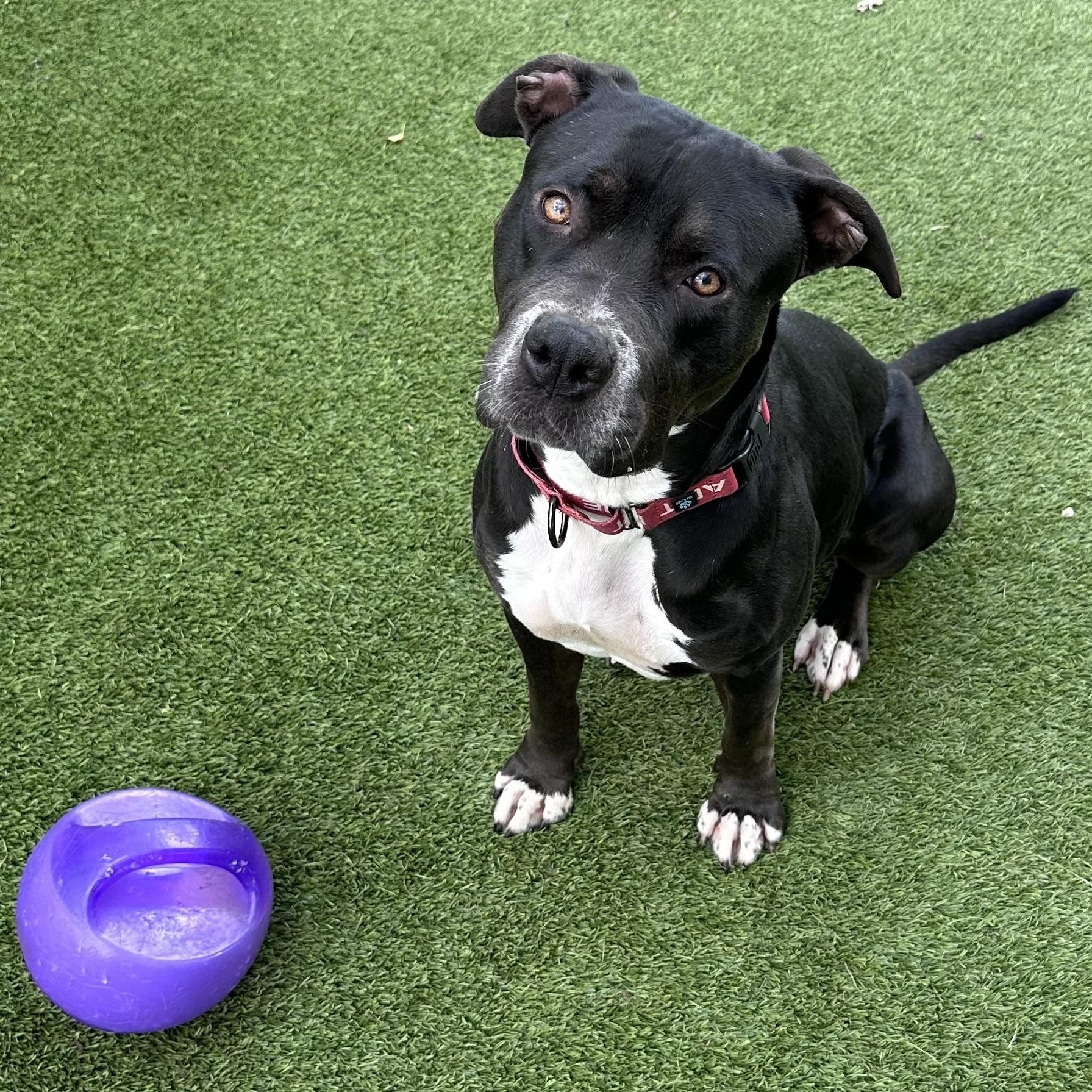 Tina — thumbnail 6