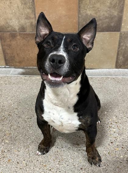 Edgar — thumbnail 2