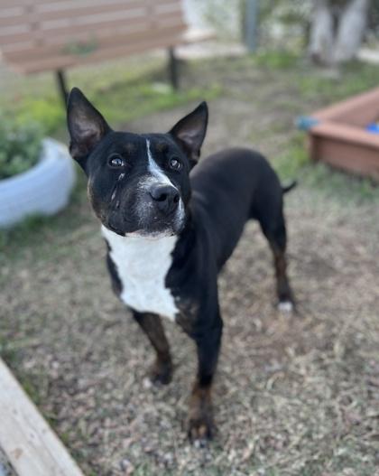 Edgar — thumbnail 3