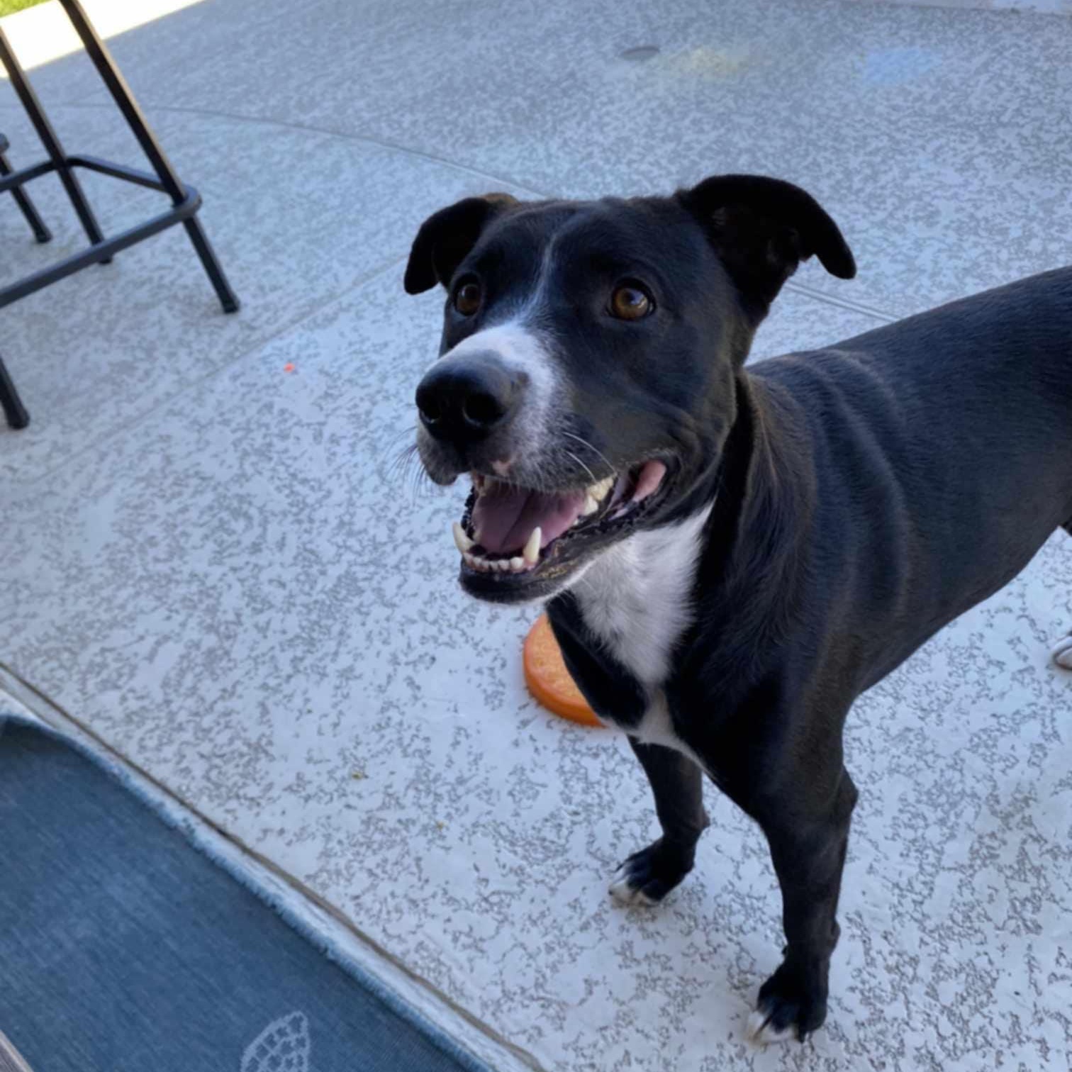 Nini — thumbnail 5