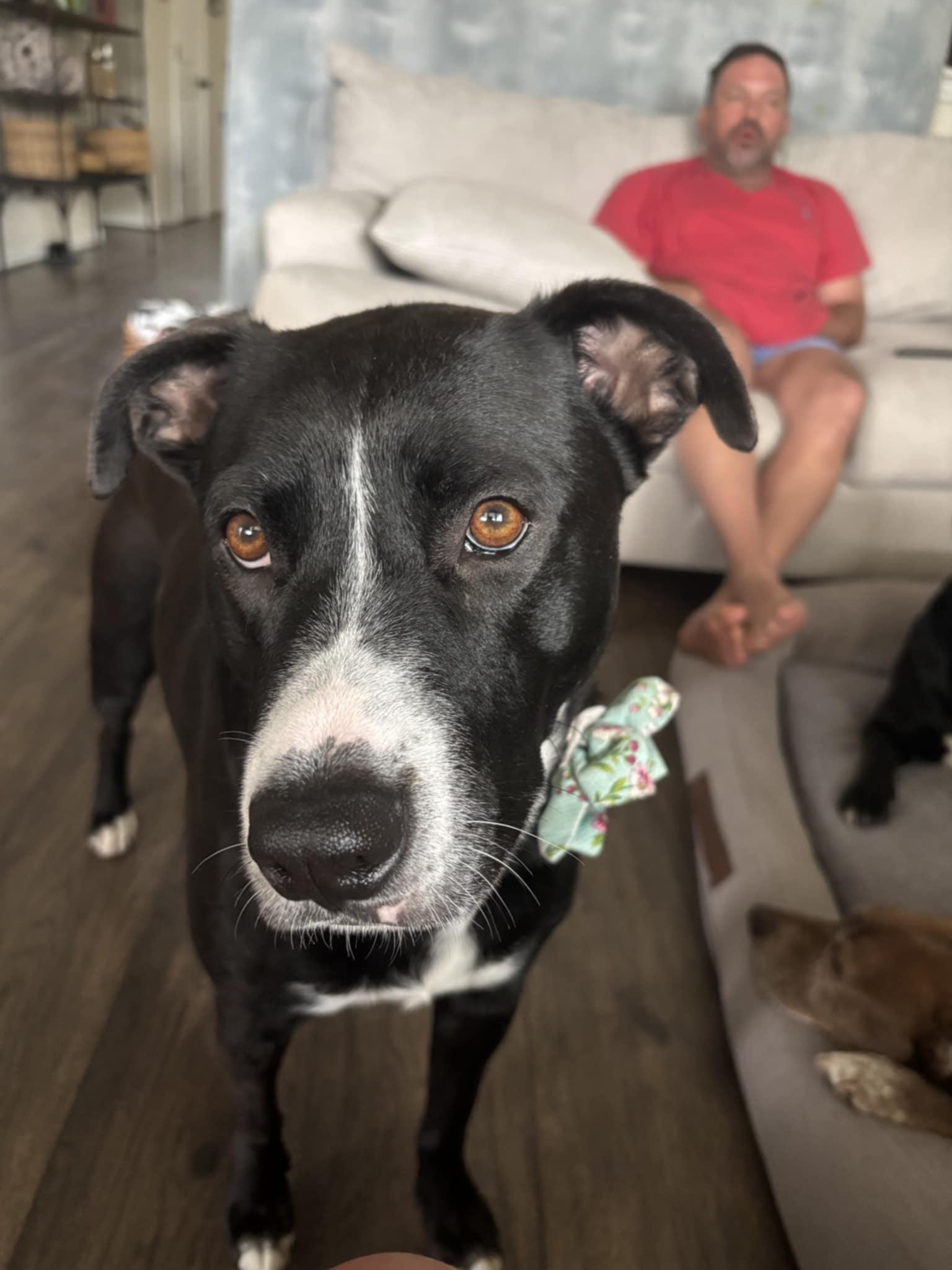 Nini — thumbnail 6