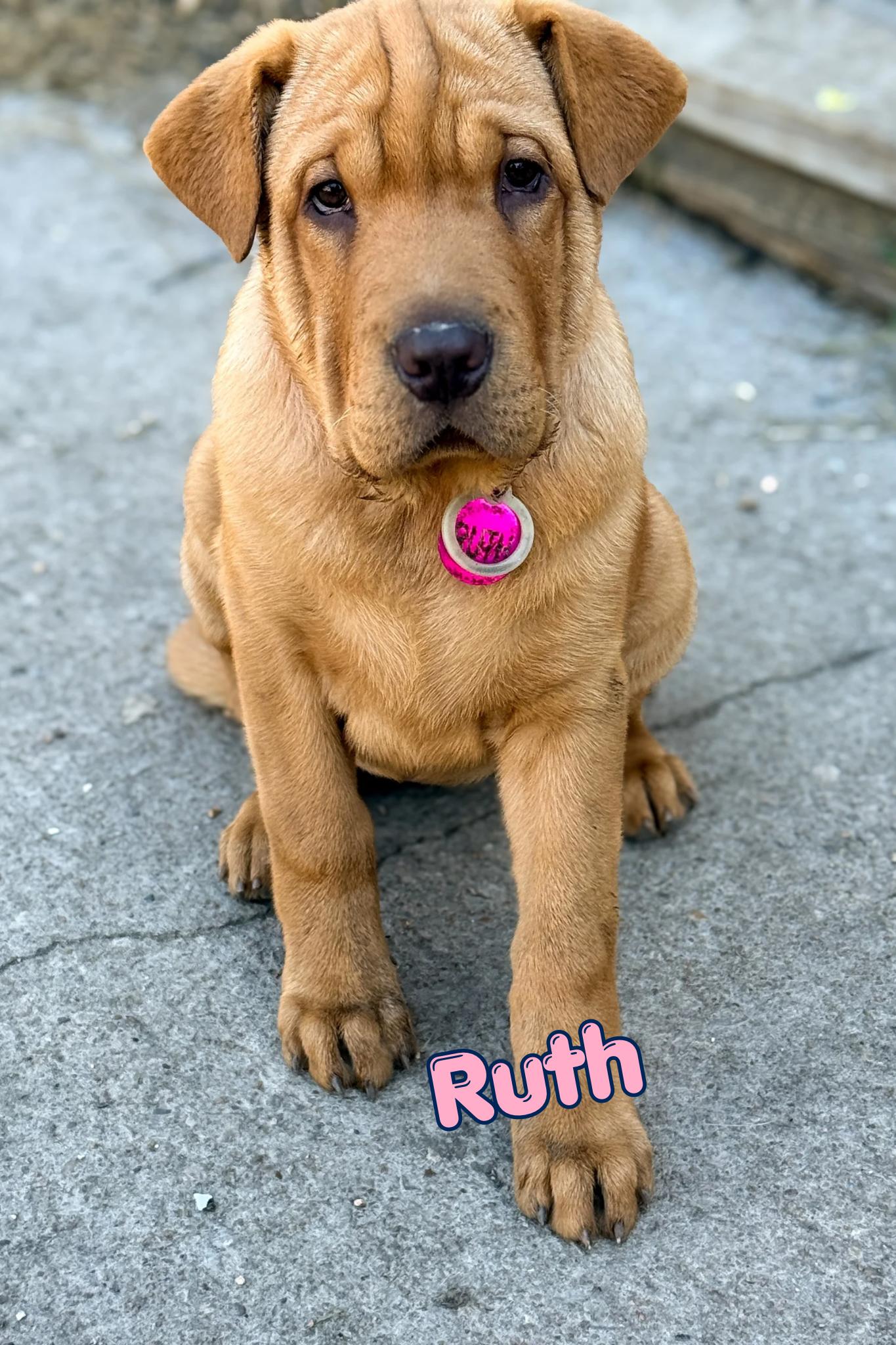 Ruth photo