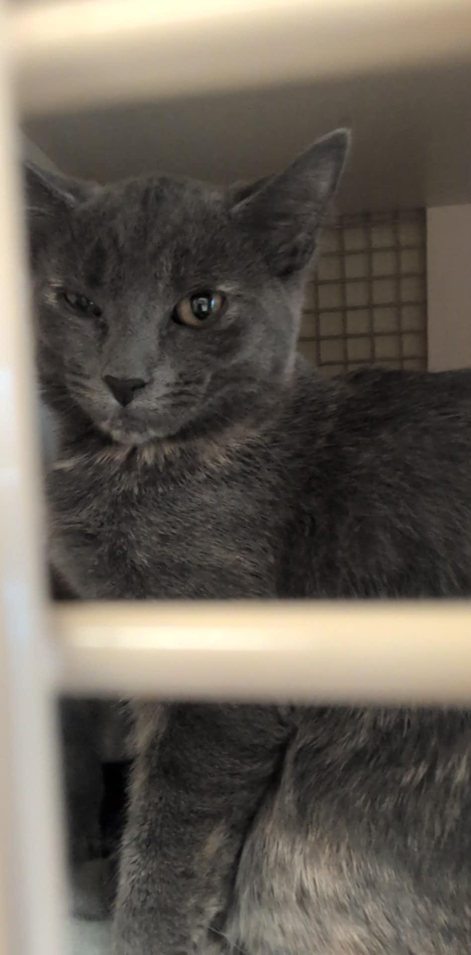 Direction Babies (coming soon)