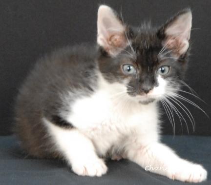 Spice, Baby Male unknown