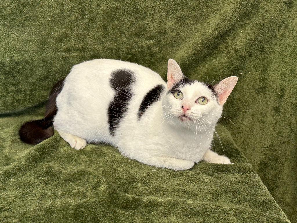 Matilda