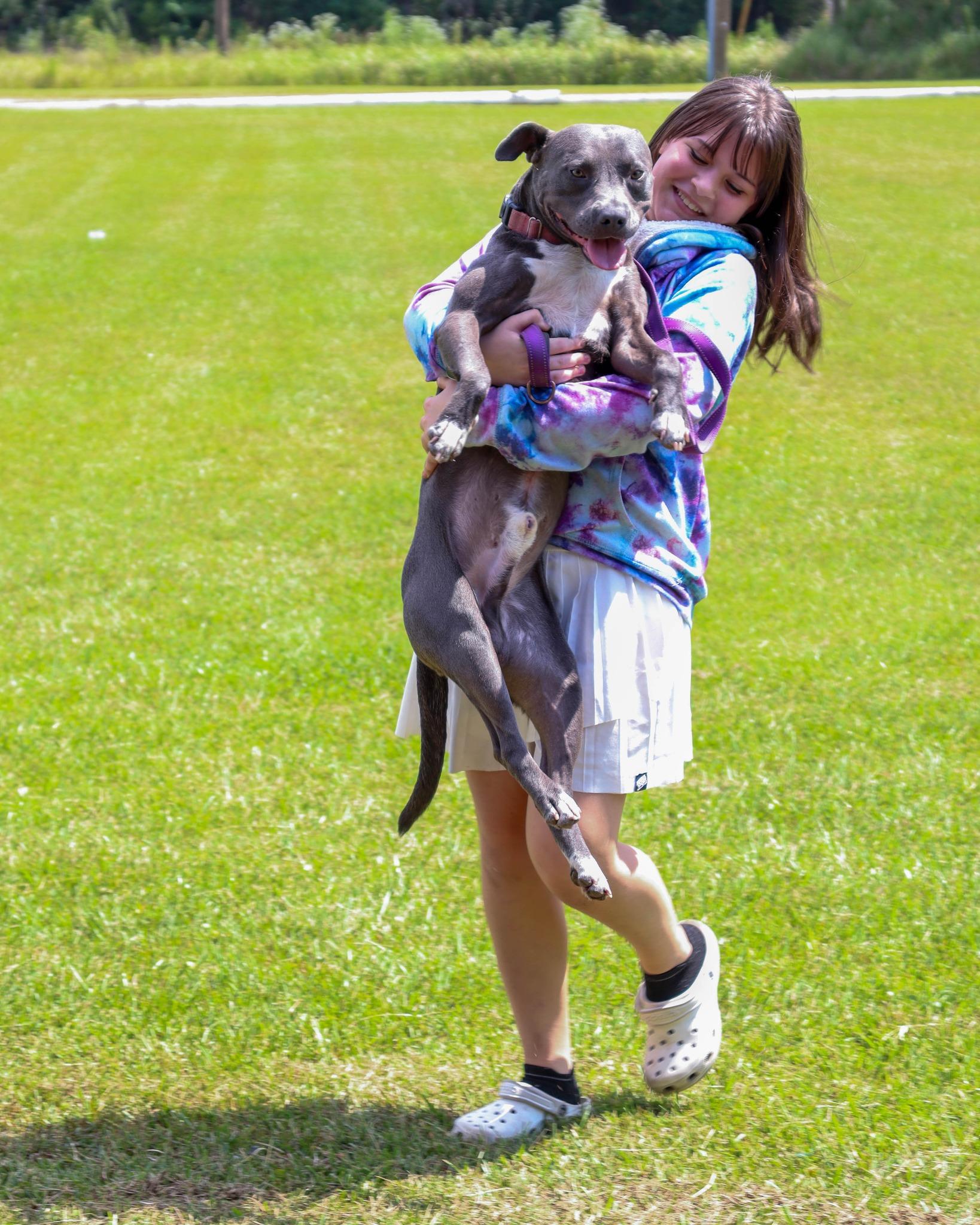 Enlarge OutKast, a Adoptable Pit Bull Terrier in Ocean Springs, MS image 2/6