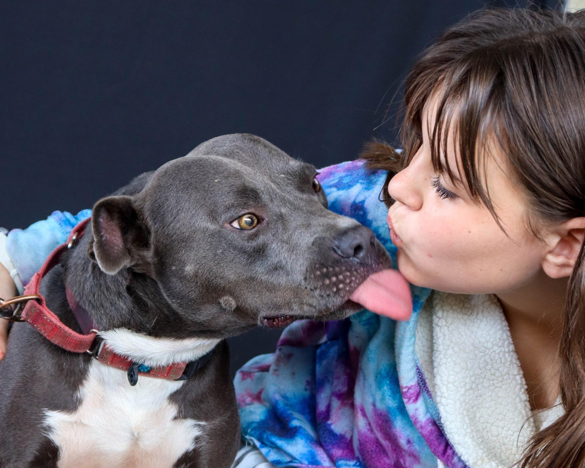 Enlarge OutKast, a Adoptable Pit Bull Terrier in Ocean Springs, MS image 5/6