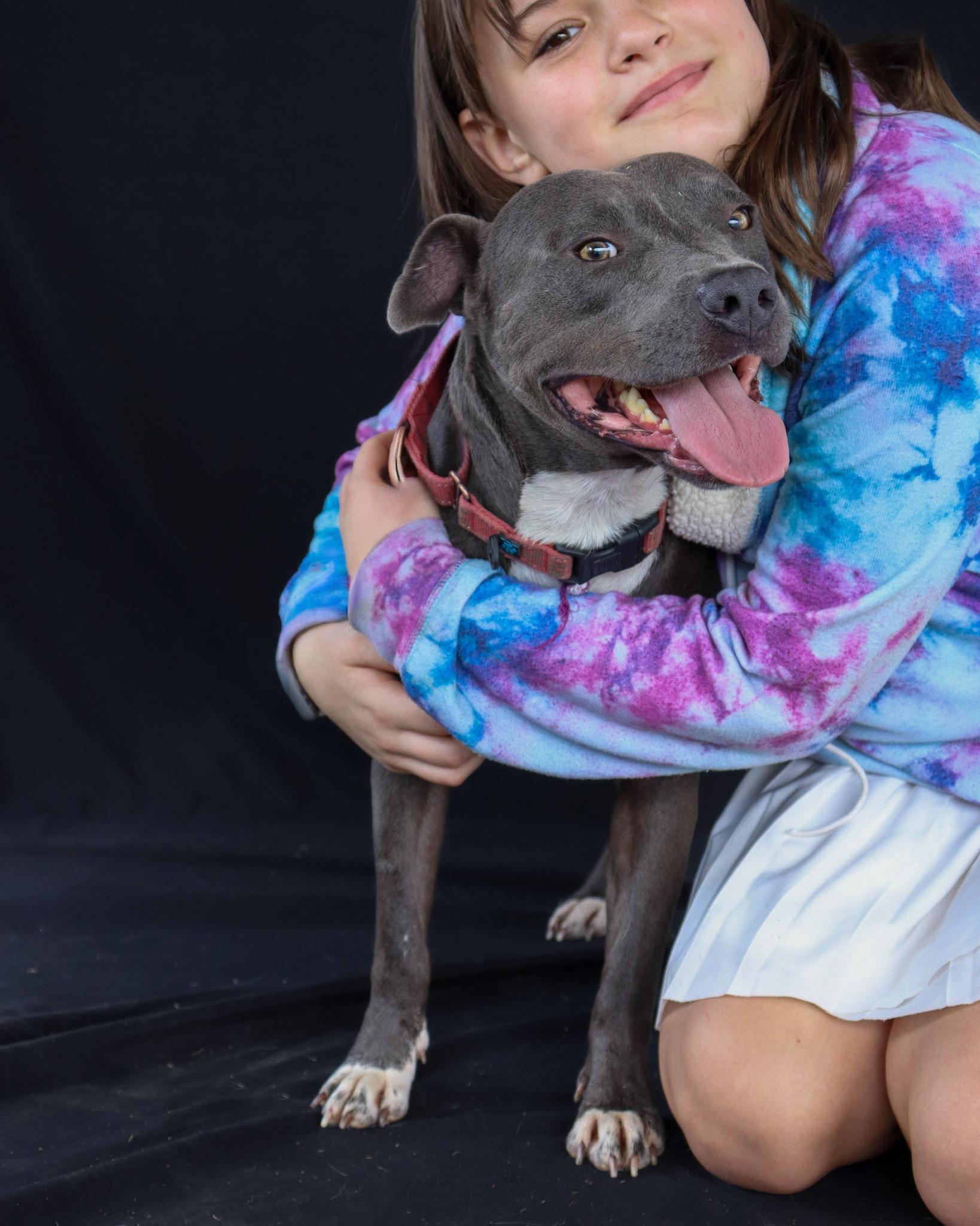 Enlarge OutKast, a Adoptable Pit Bull Terrier in Ocean Springs, MS image 6/6