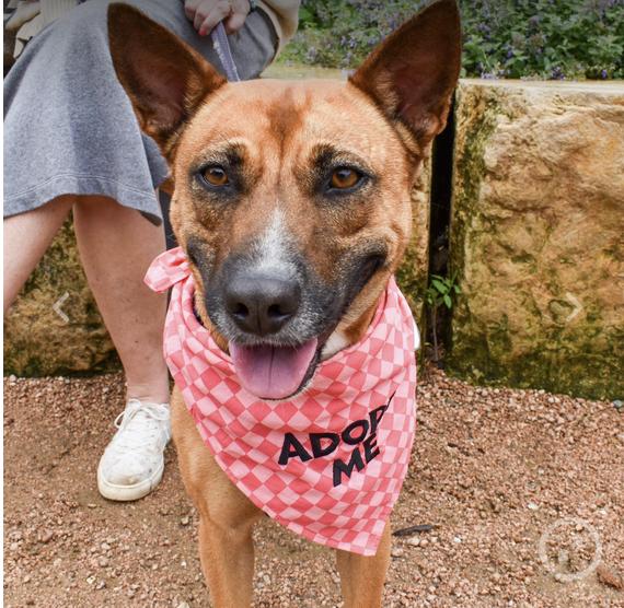Cindy Lou (TX), Young Female unknown