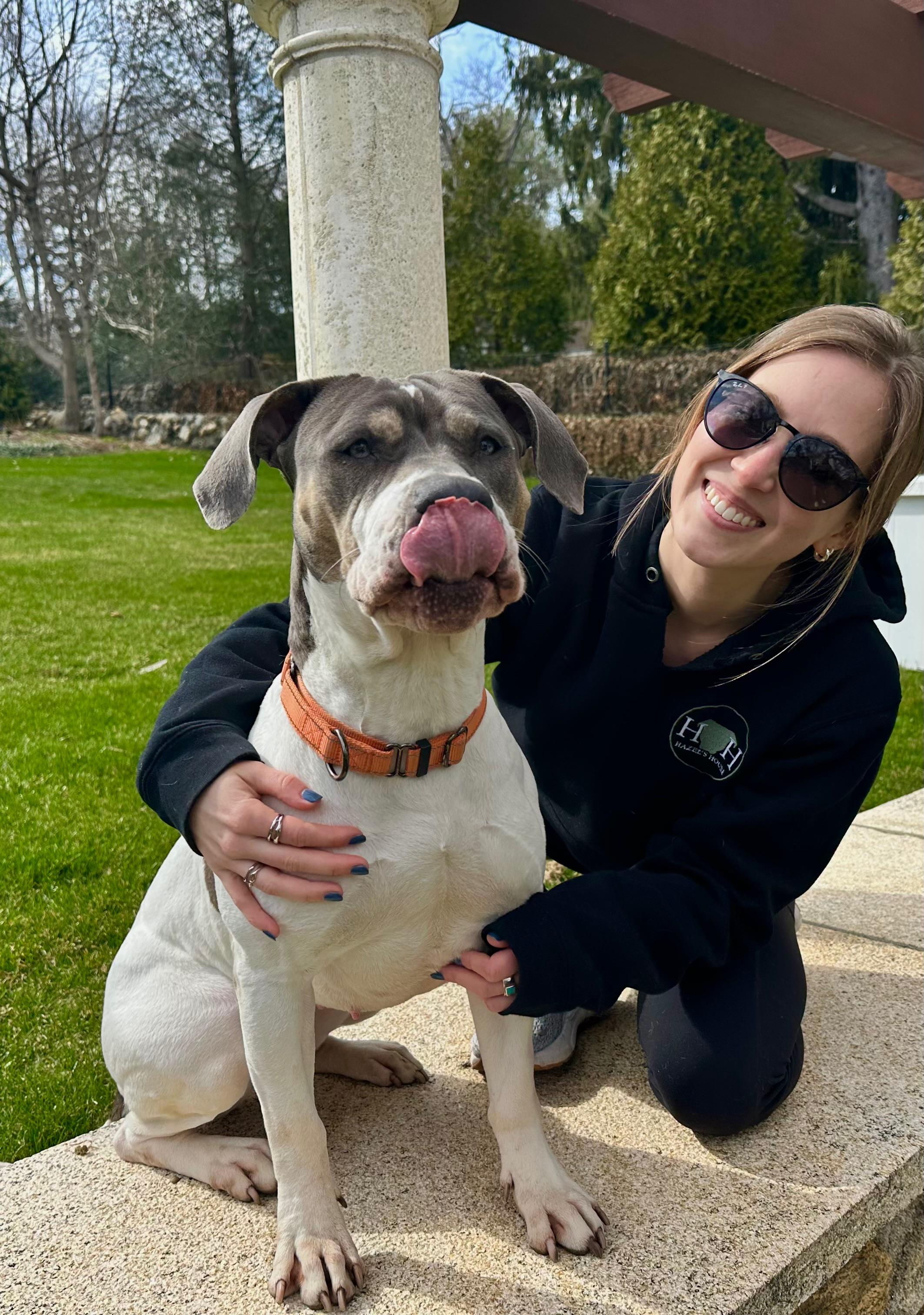 Enlarge Ellie, a ADOPTABLE mixed breed in Stamford, CT image 4/6