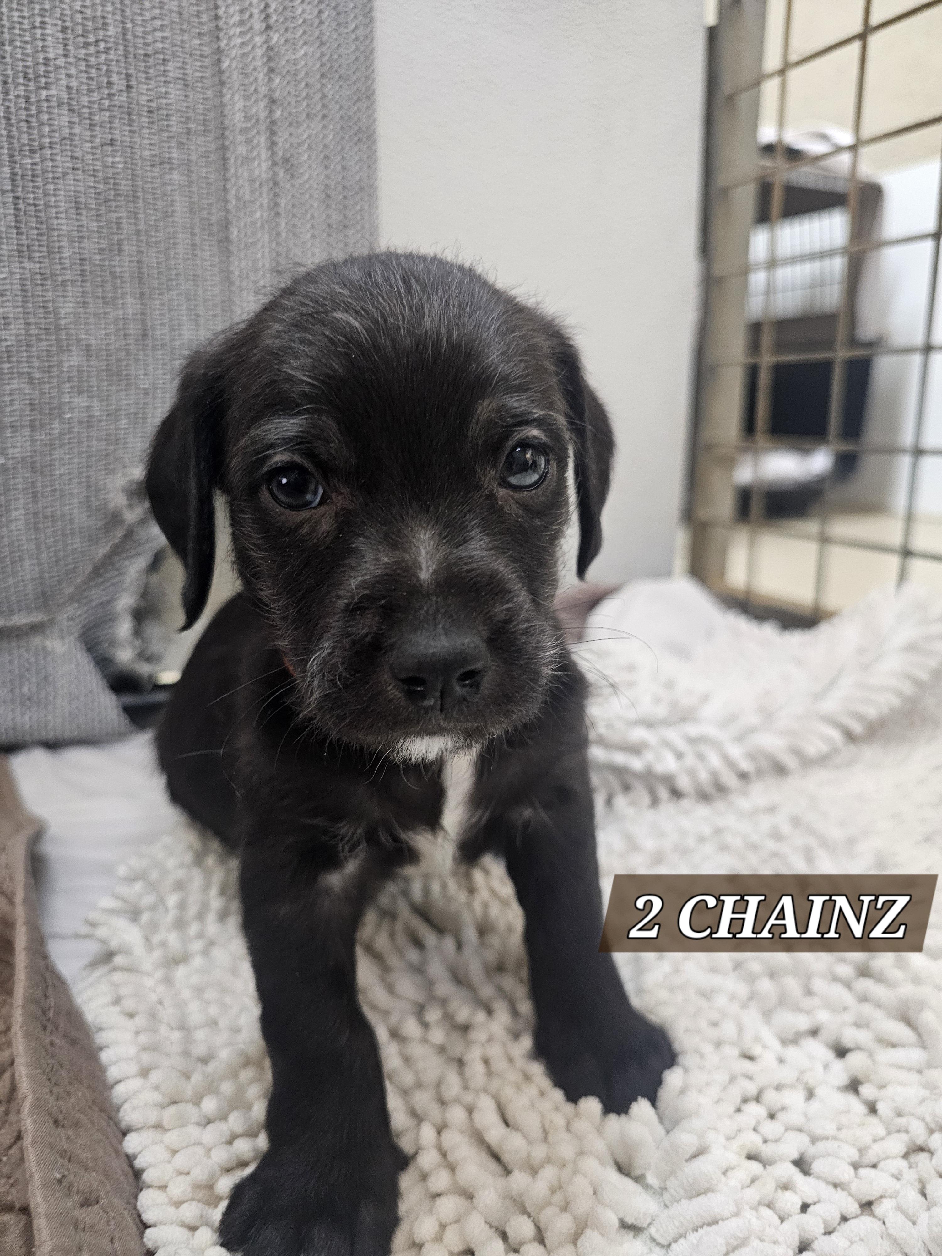 2 Chainz