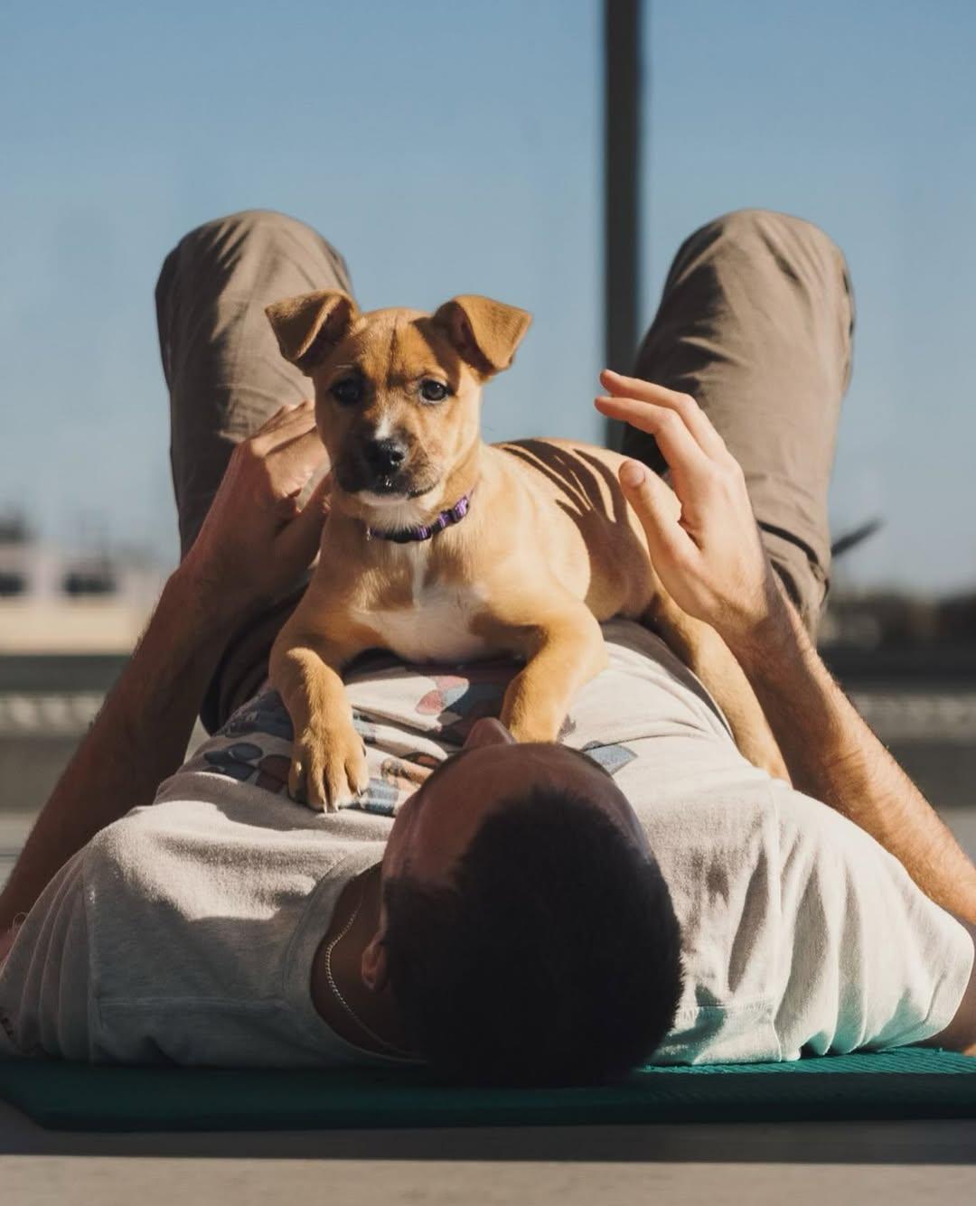 Grandpa & Grandma Litter
