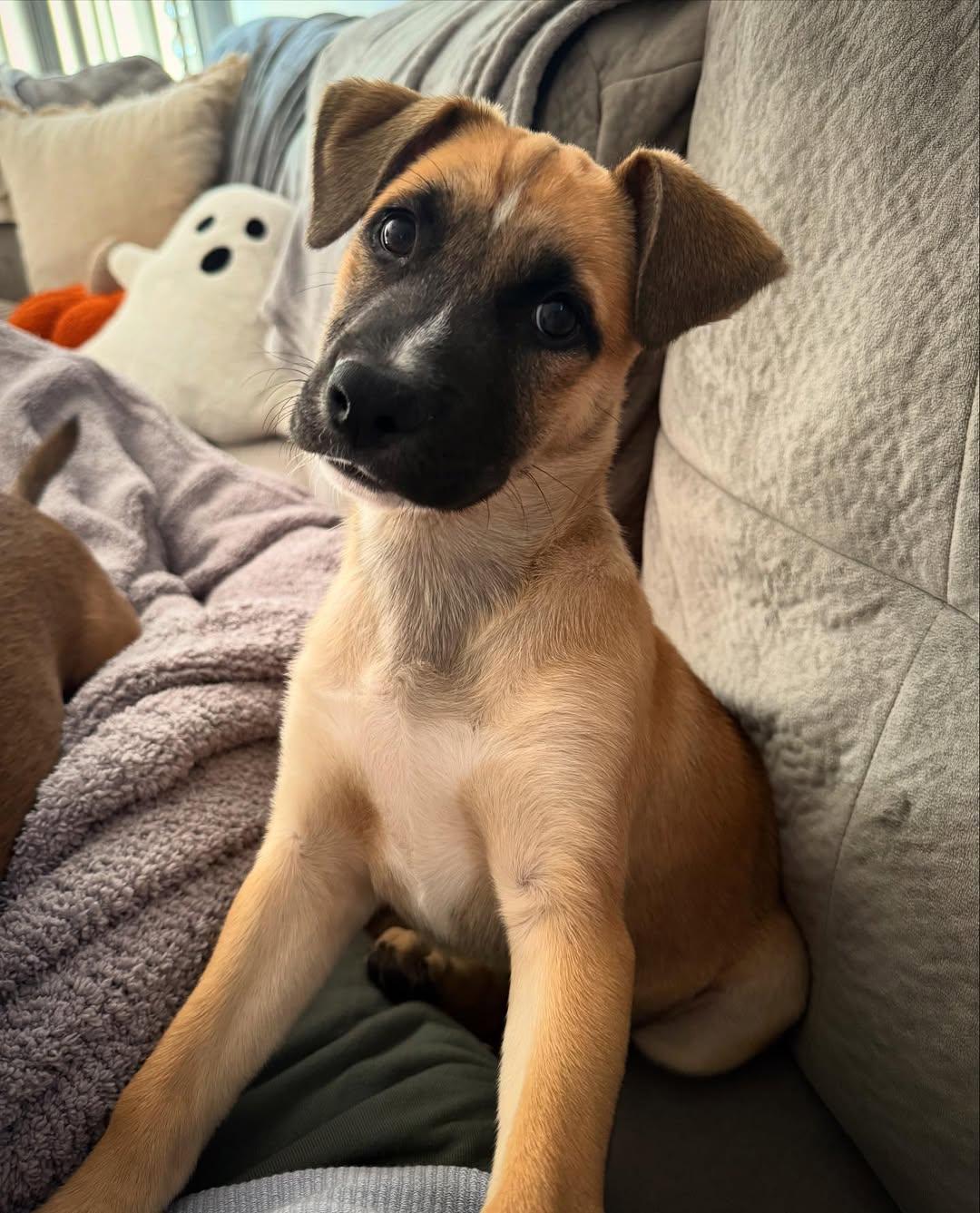 Grandpa & Grandma Litter