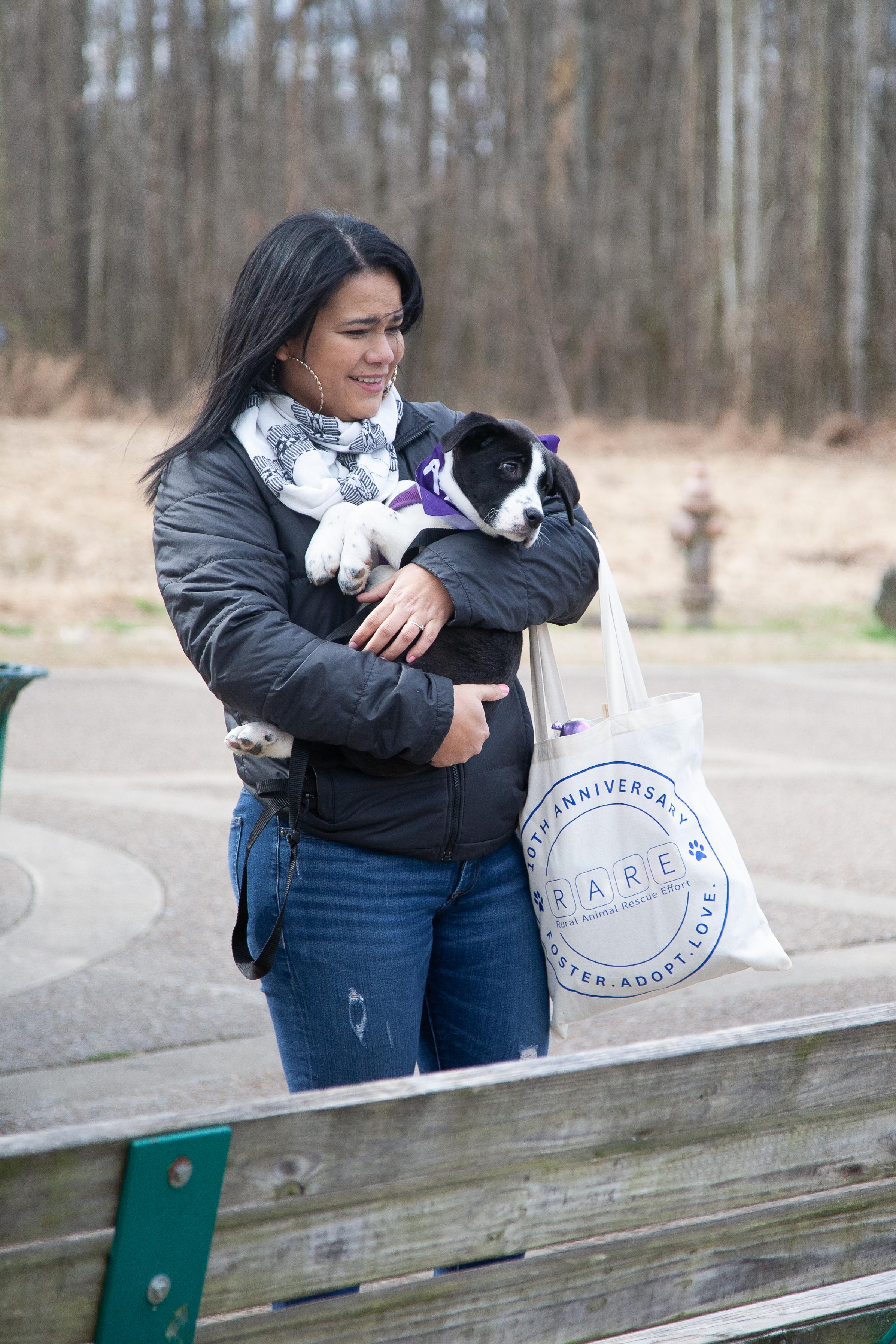 Hope, a ADOPTABLE Mixed Breed in Franklin, TN image 3/6