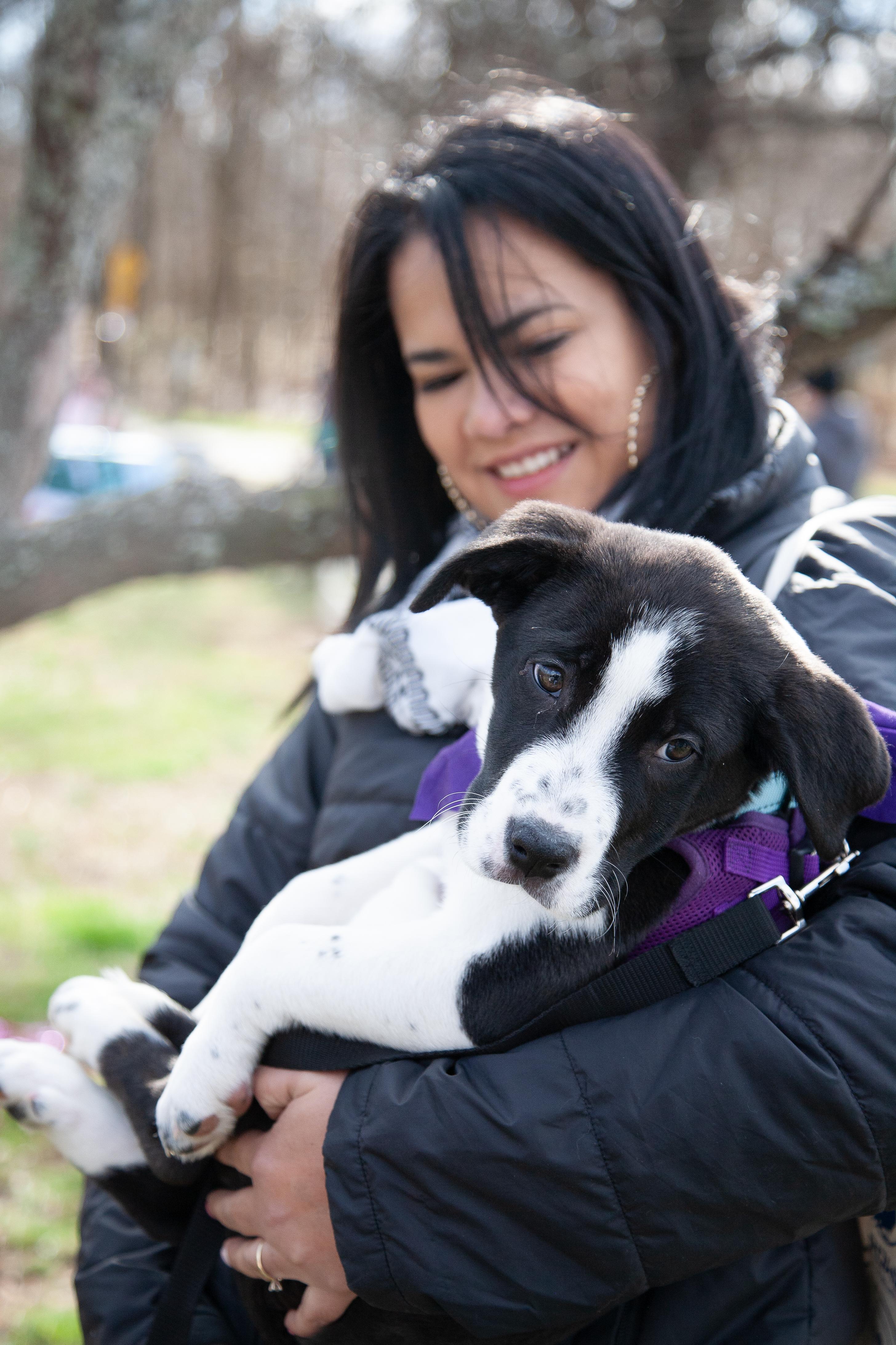 Hope, a ADOPTABLE Mixed Breed in Franklin, TN image 4/6