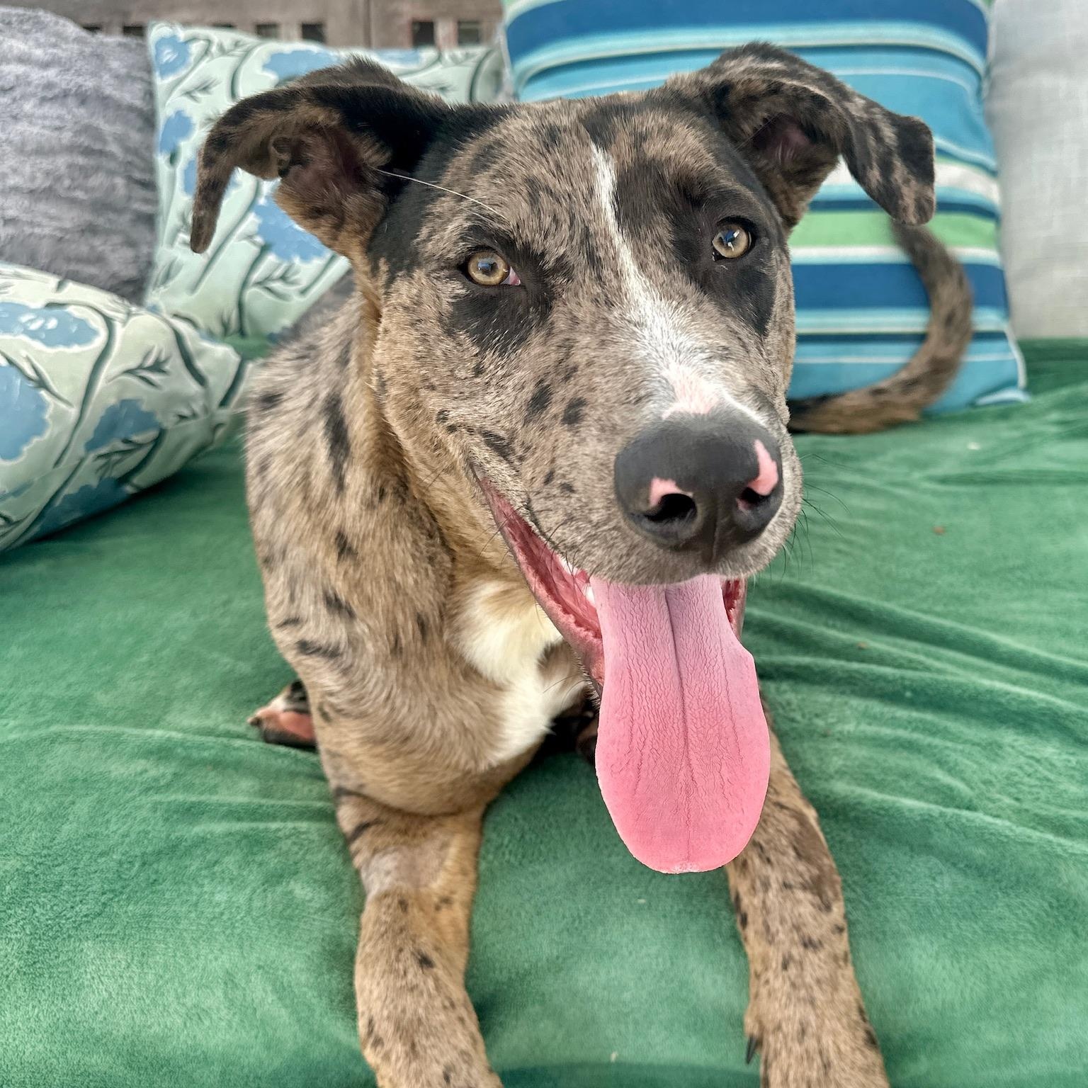 Sully — thumbnail 3