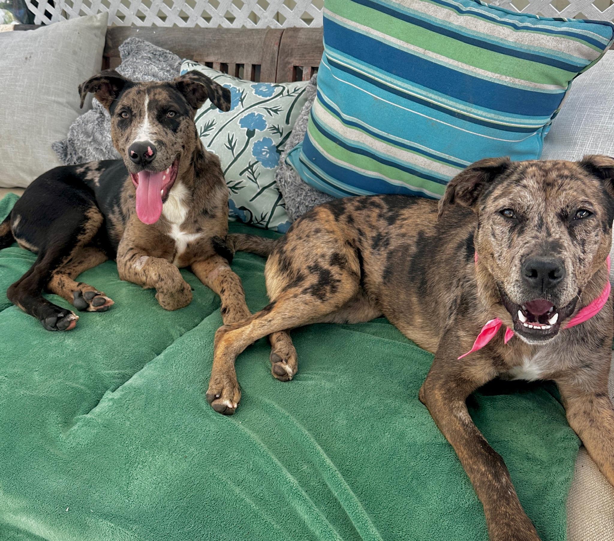 Sully — thumbnail 4