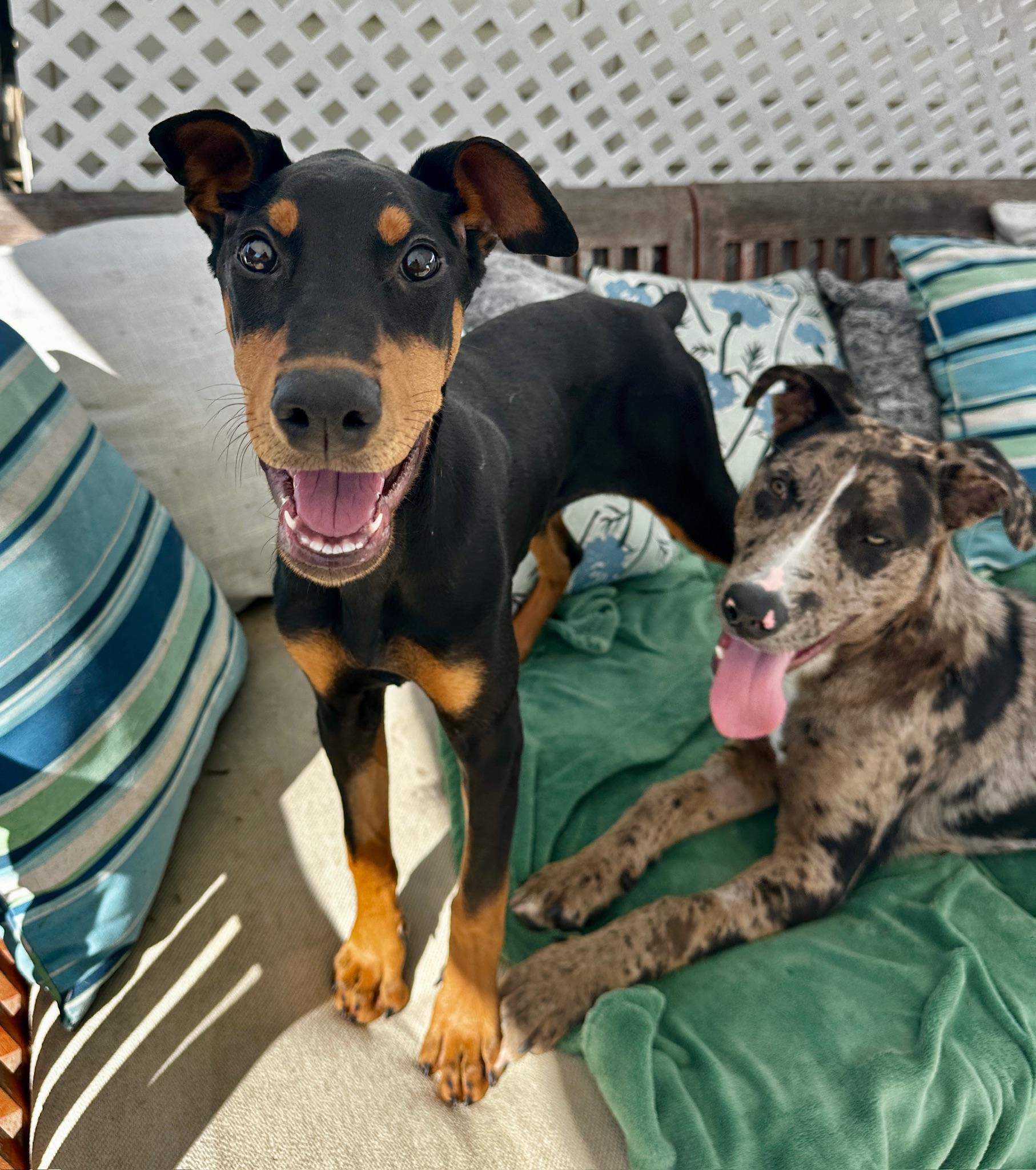 Sully — thumbnail 5