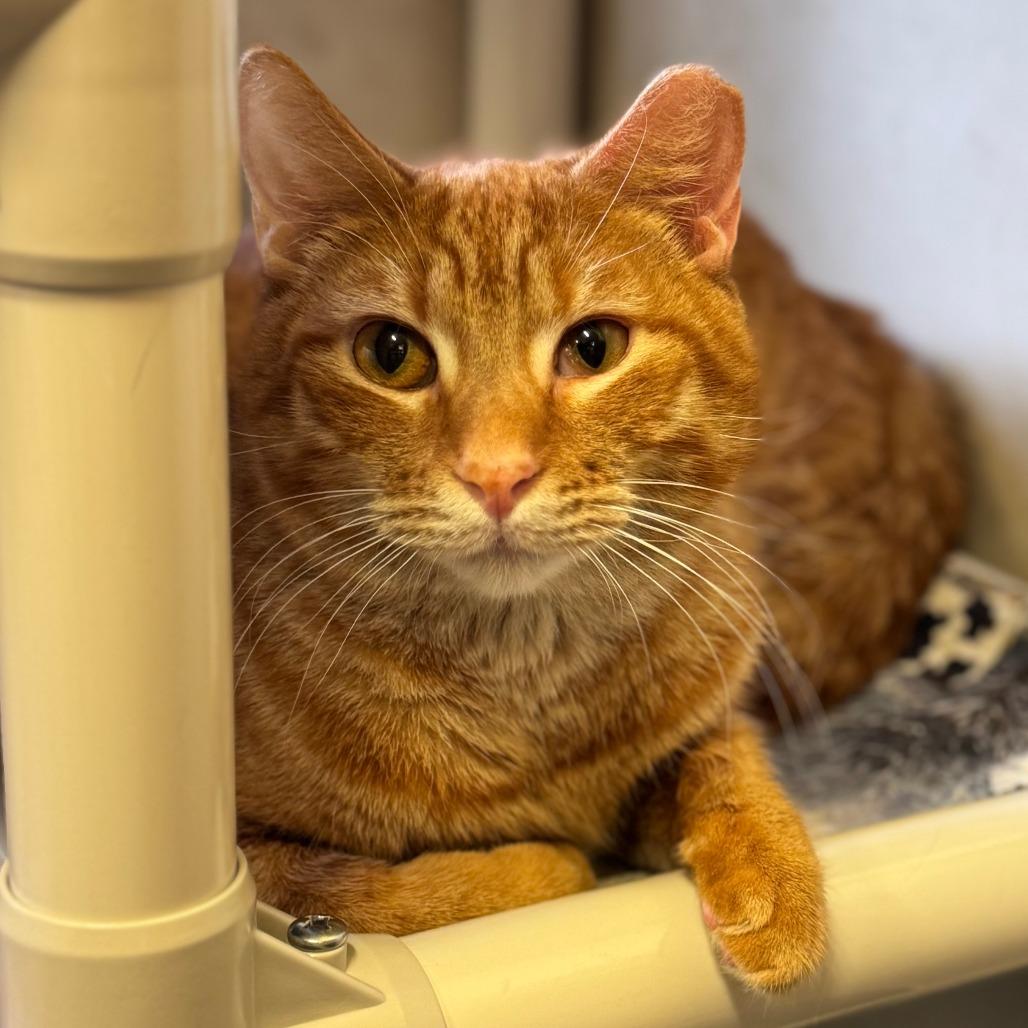 Harry — thumbnail 2