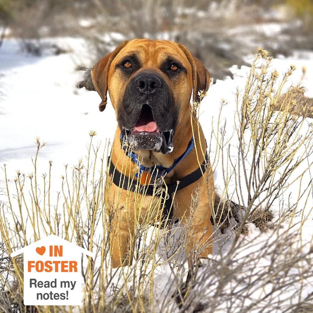 Crockpot — thumbnail 4