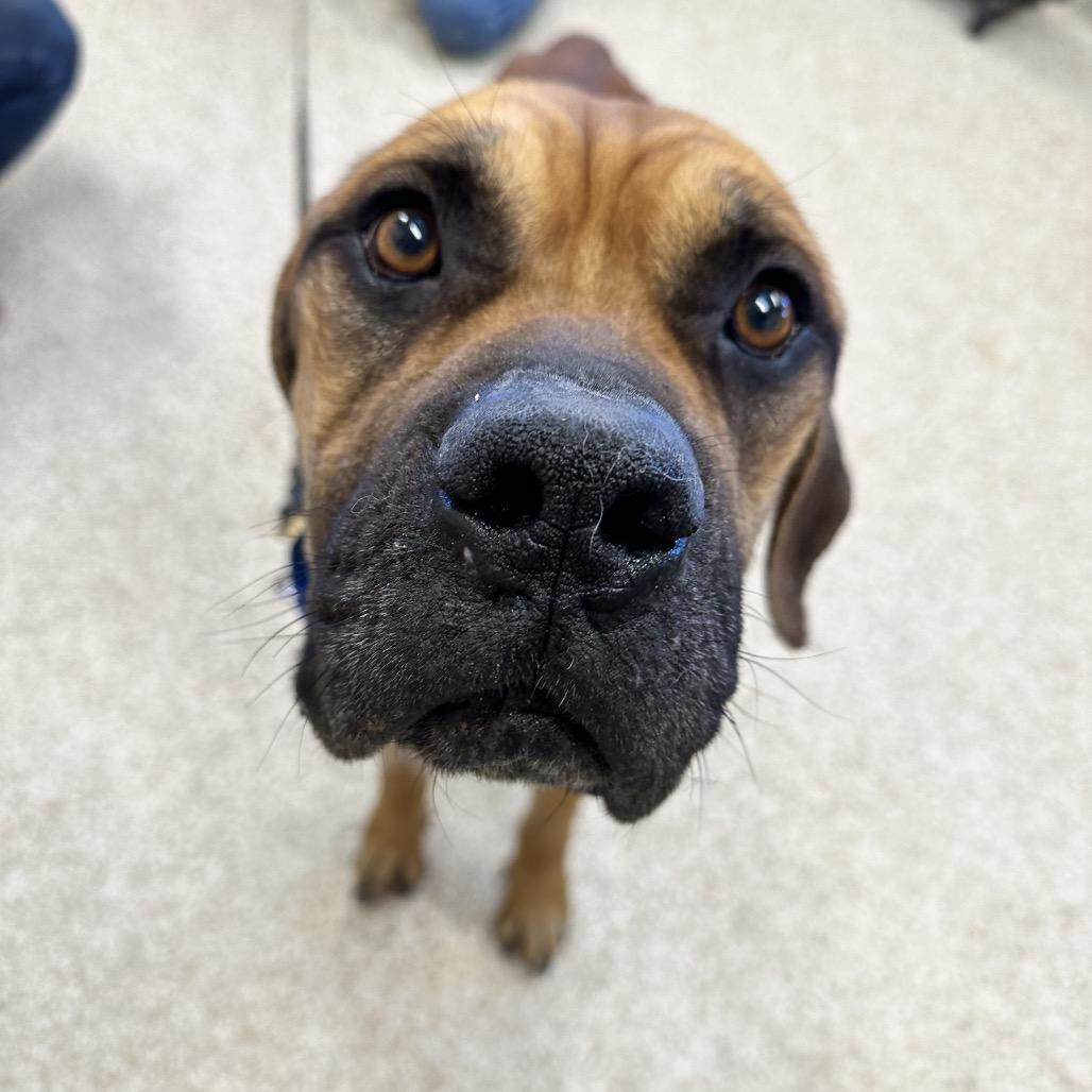 Crockpot thumbnail 2