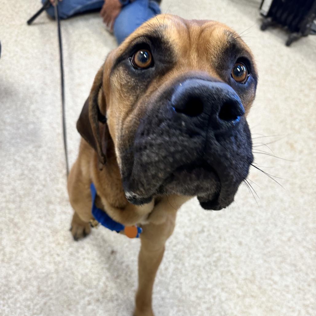 Crockpot thumbnail 3