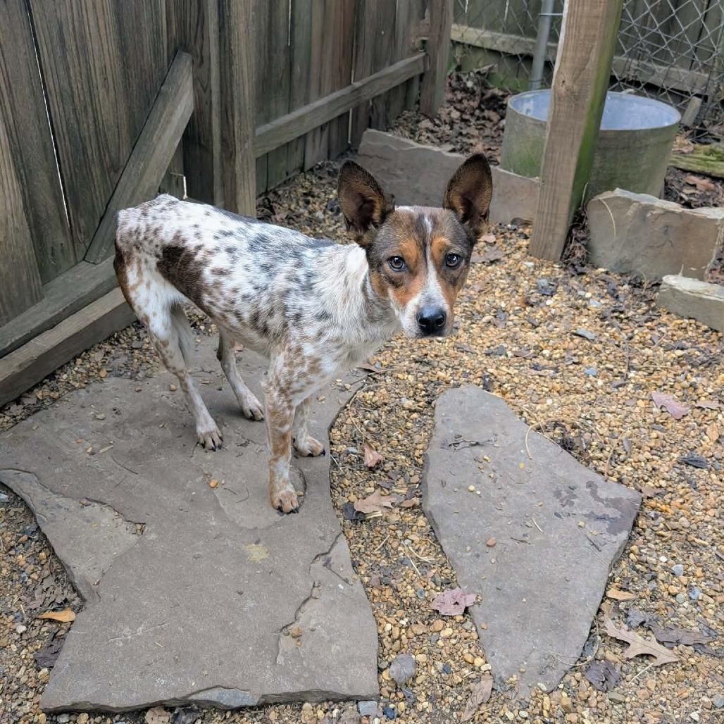 Charlotte — thumbnail 2