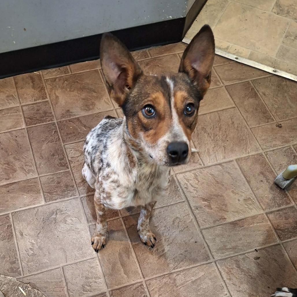 Charlotte — thumbnail 3