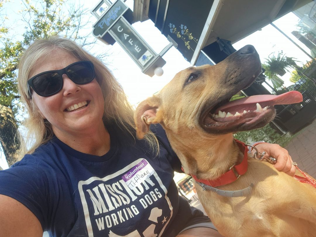 Sadie Mae, a Adoptable mixed breed in Shelby, NC image 2/13