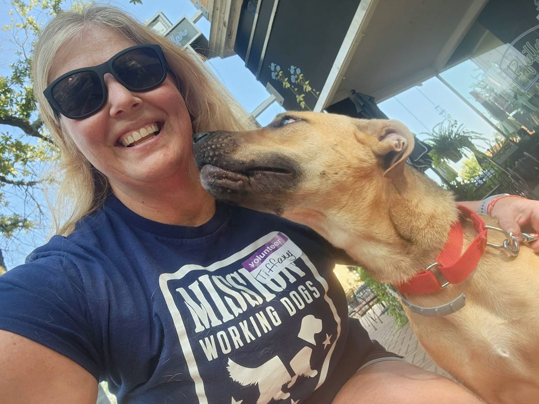 Sadie Mae, a Adoptable mixed breed in Shelby, NC image 3/13