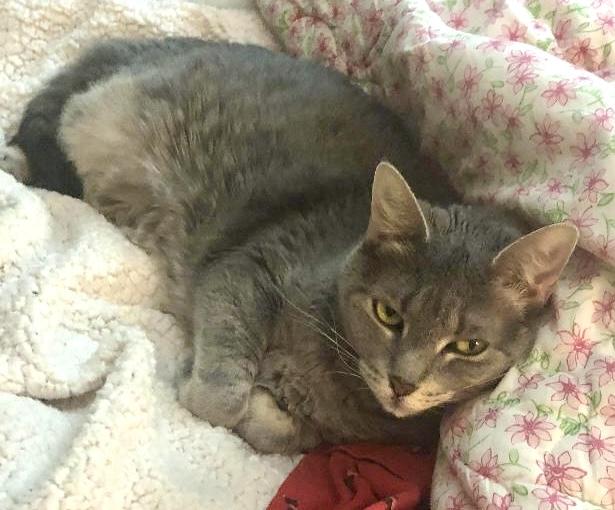 Bellla & Lucy- URGENT 3