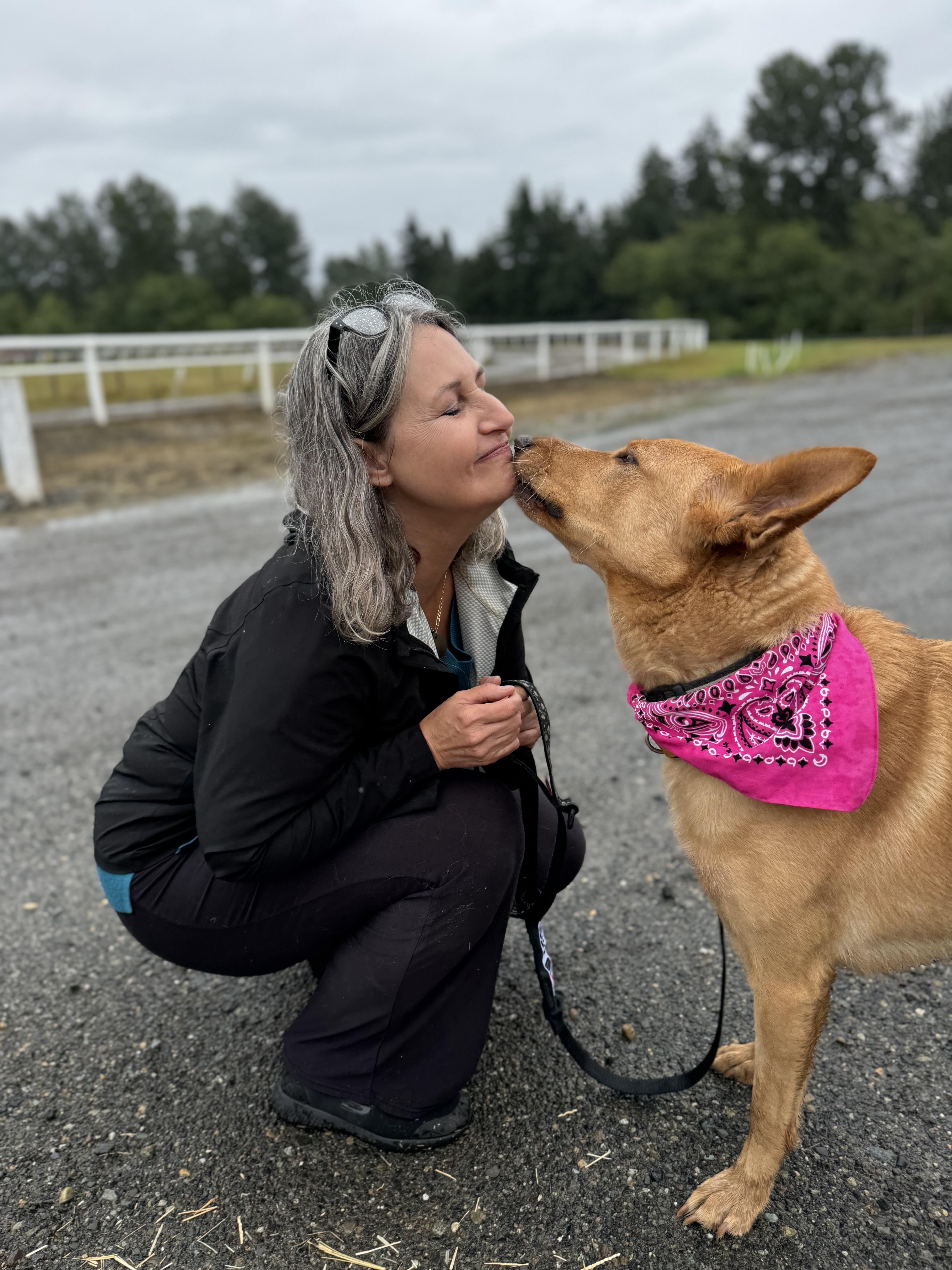 Dezi, a Adoptable mixed breed in Wenatchee, WA image 5/6